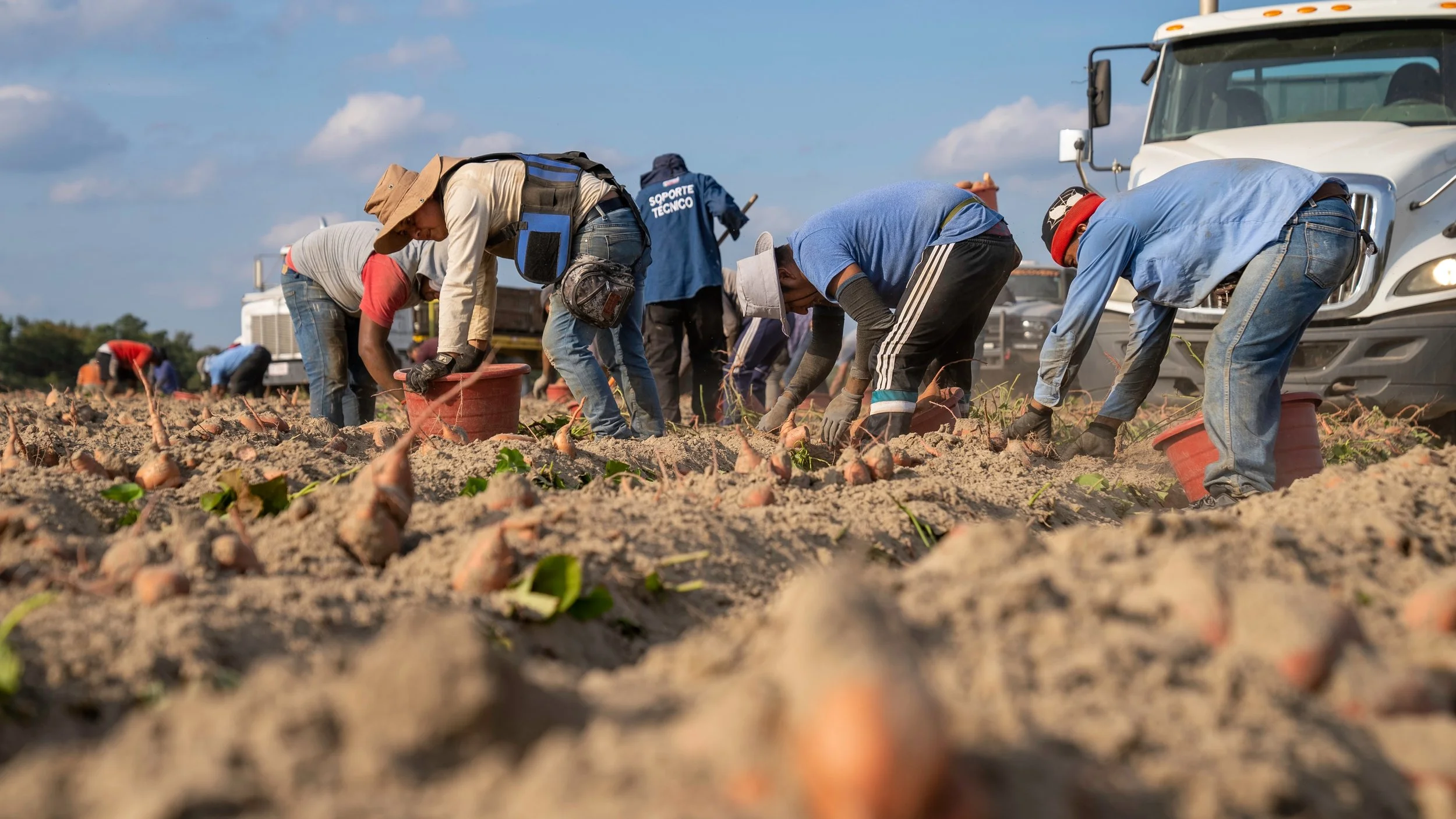 Conference 2022 Panel Recap - “Marginalization in Supply Chains: An International Perspective”