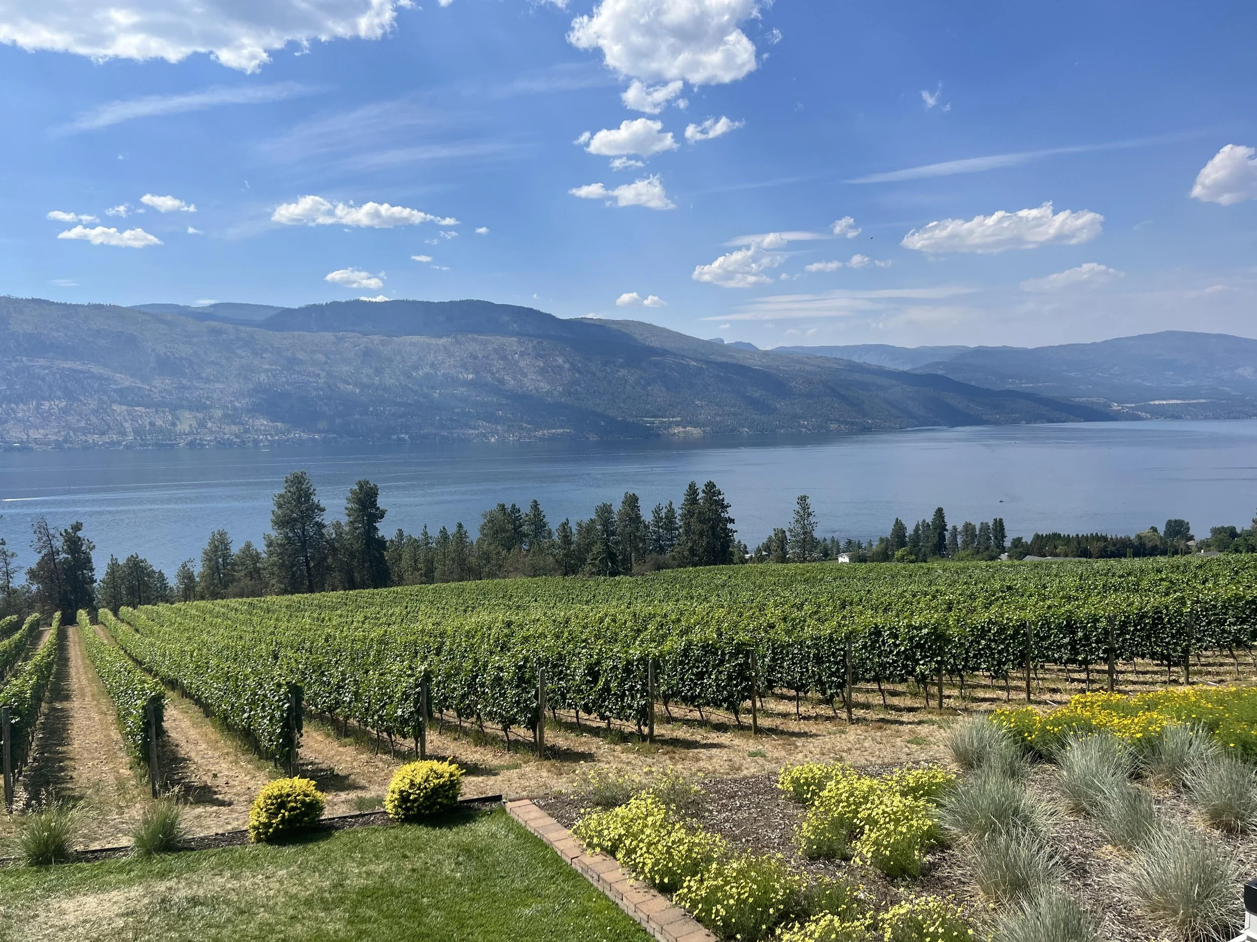 US Tariff Impact on the BC Wine Industry