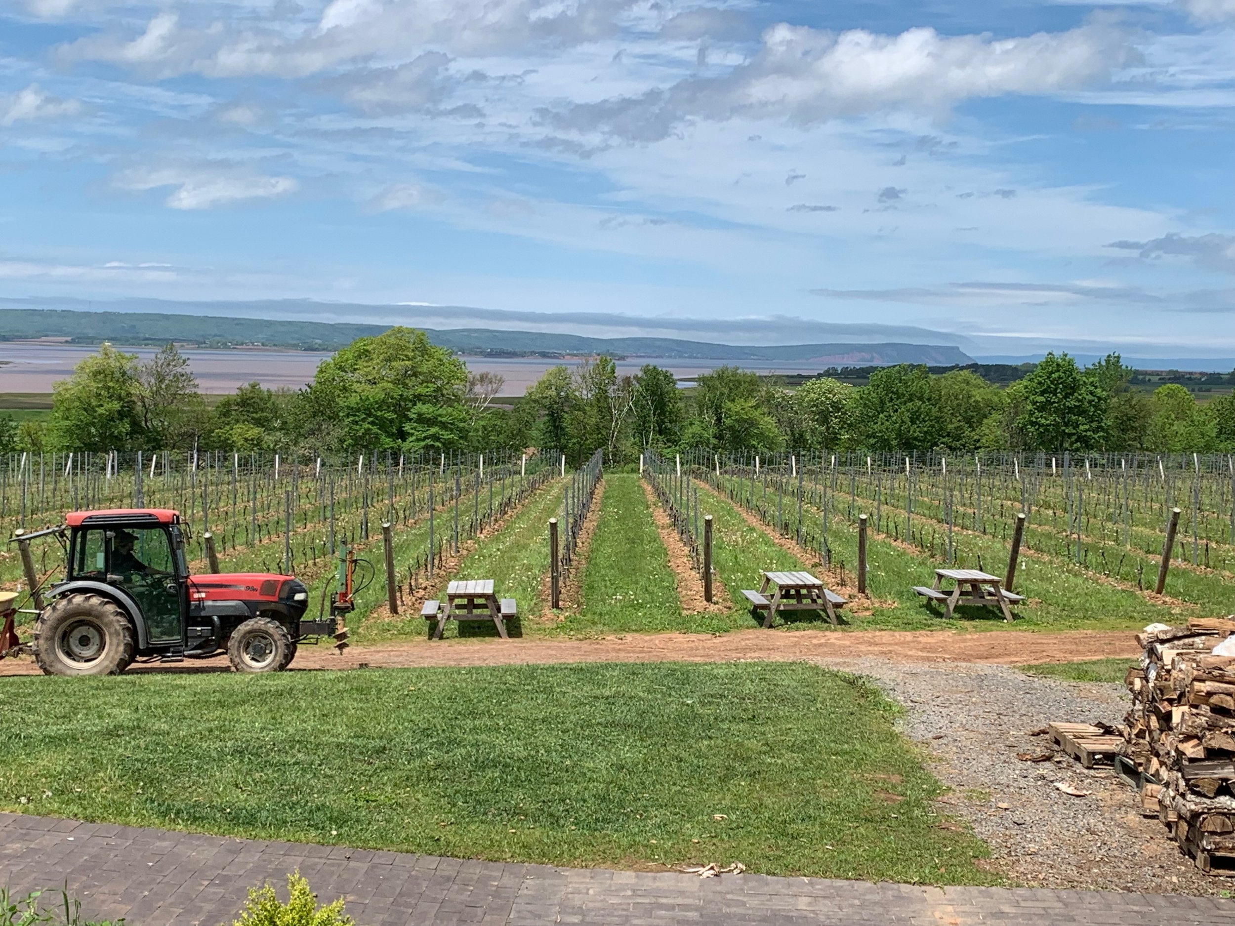 Sarah's tractor.jpeg