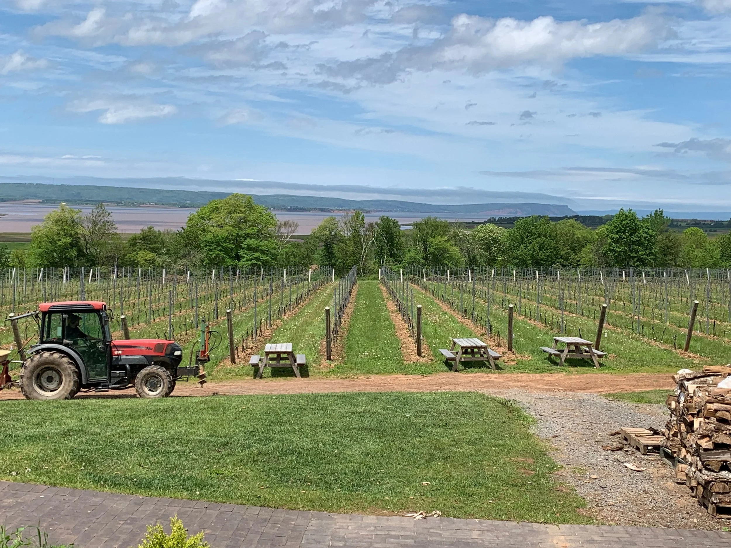 Sarah's tractor.jpeg