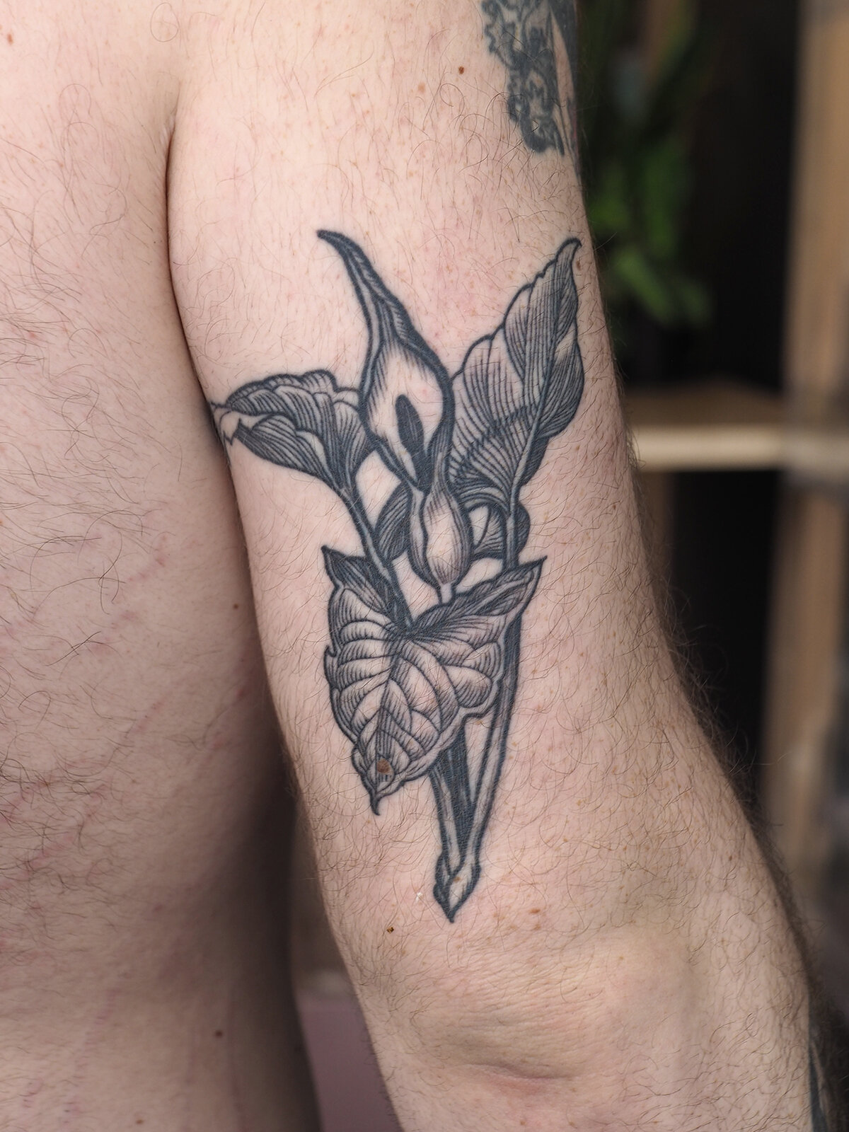 Flower tattoo by Apprentice Dave | Roses are red, violets are blue, but if  you booked a tattoo session with me you can have lilies too 😆 🤣  #blackbirdtattooco #apprenticetattoo... | By