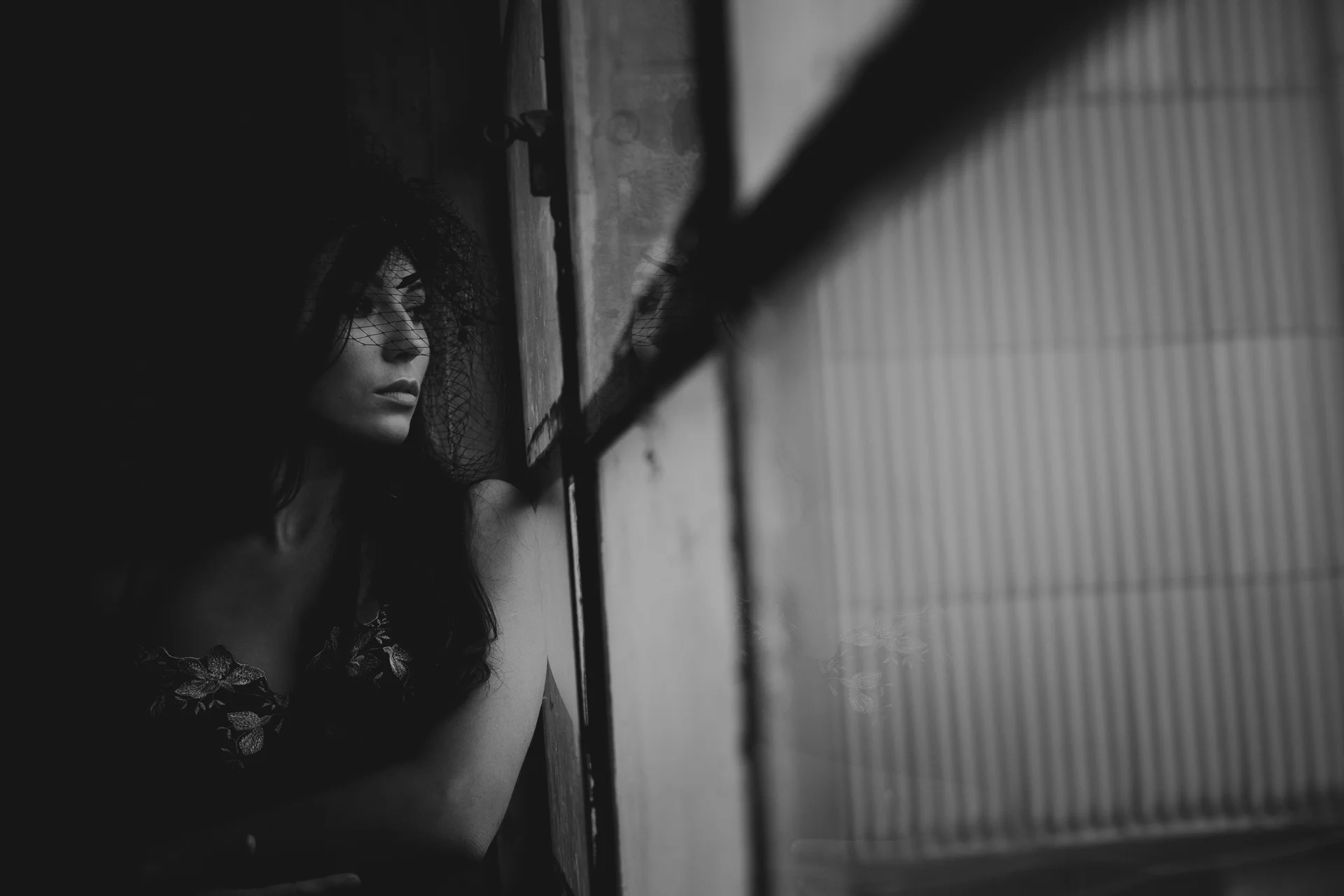 lilli-02.jpg