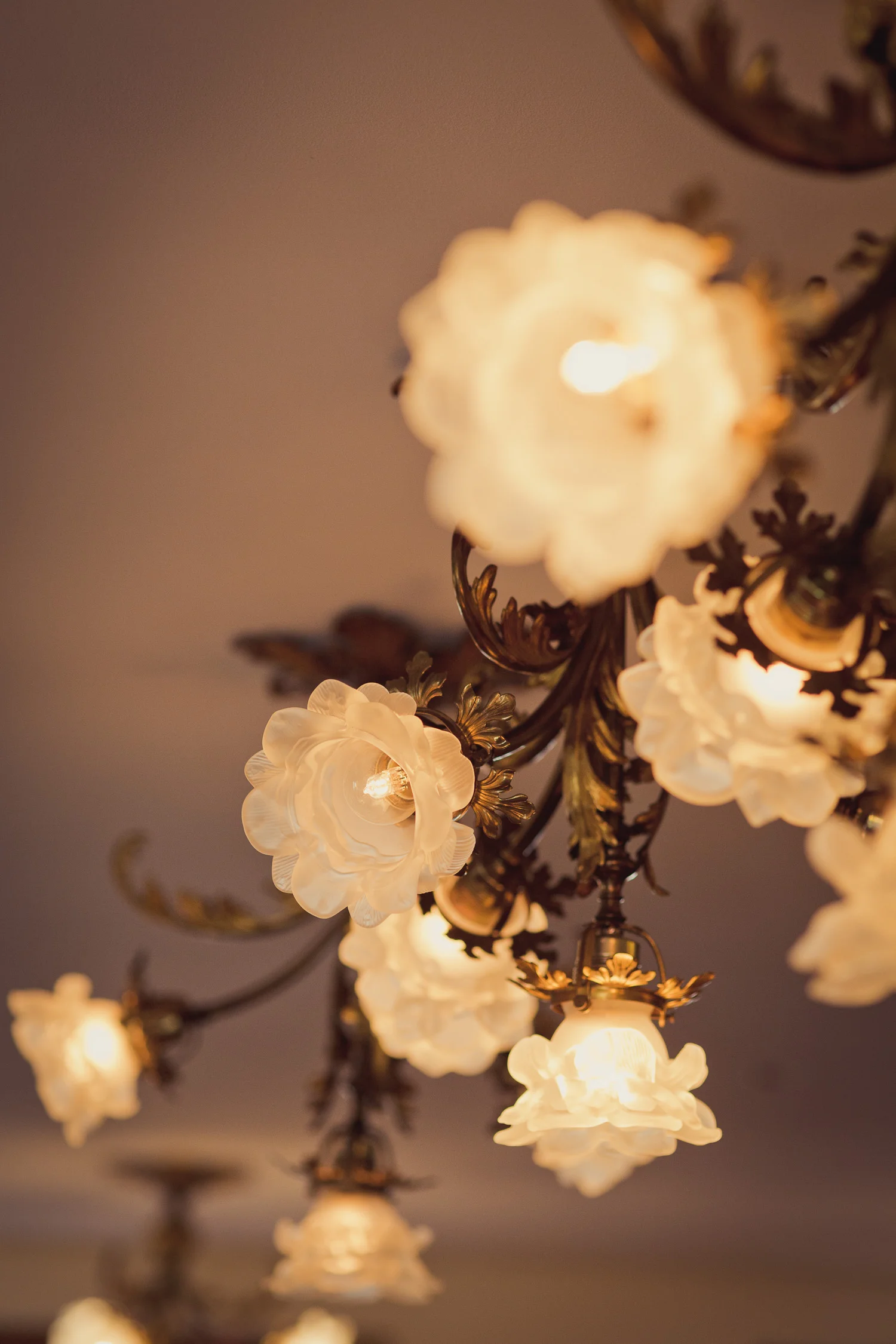 coorporate_photography-11.jpg