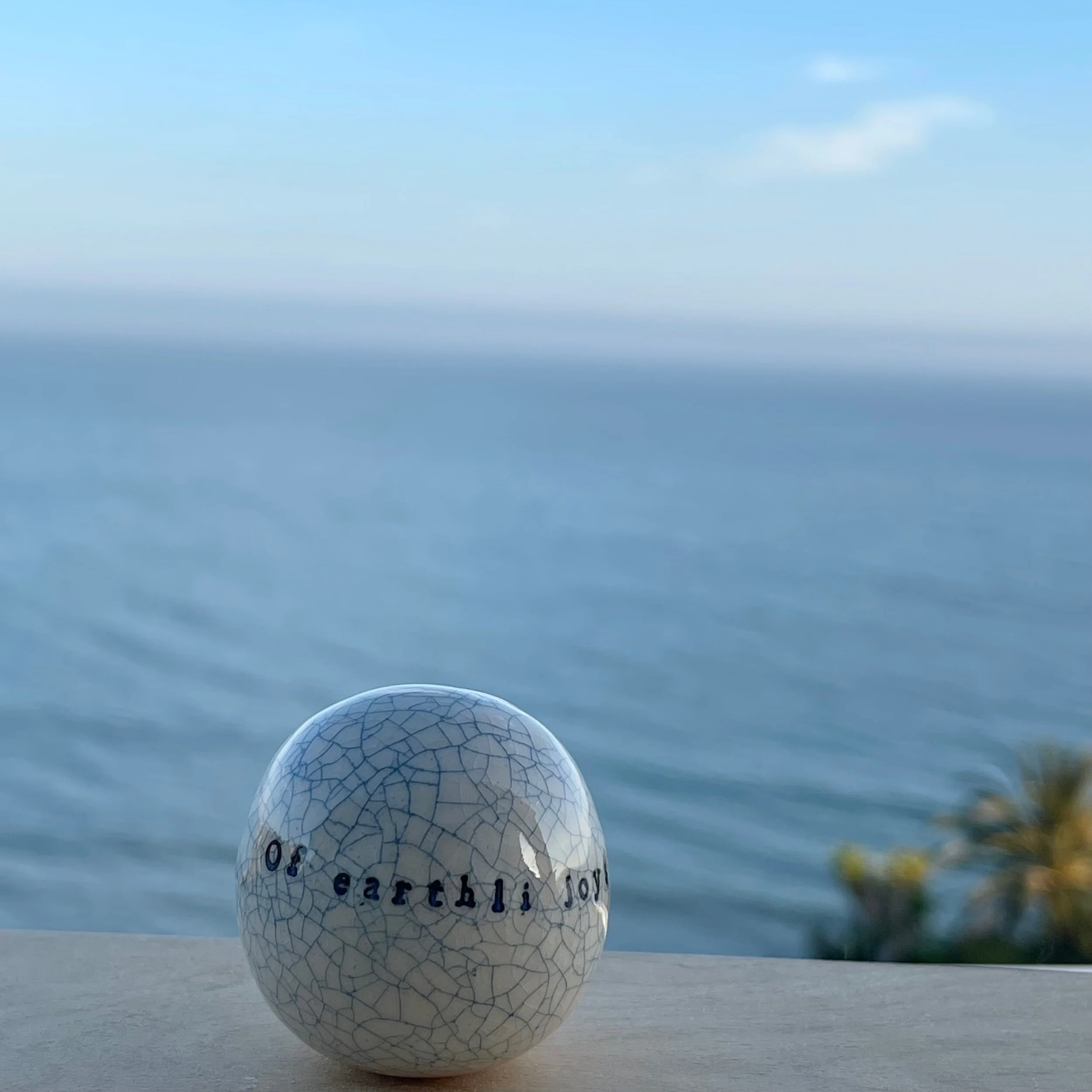 1BB45481-C84C-448F-A9DC-99F79E2DA562