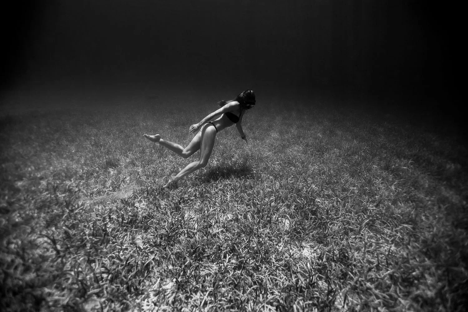 Freediving