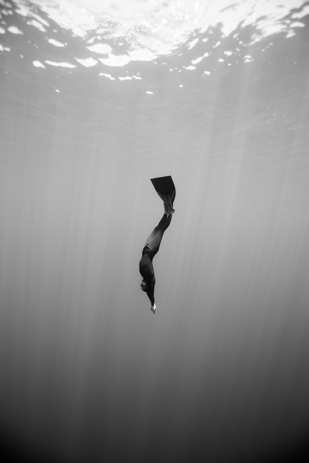 Freediving Photography