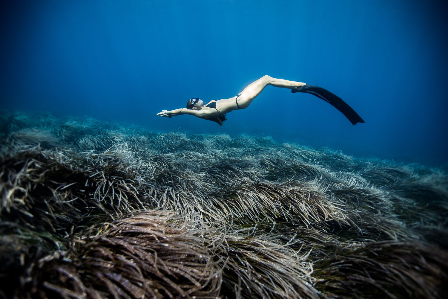 Freediving Photography