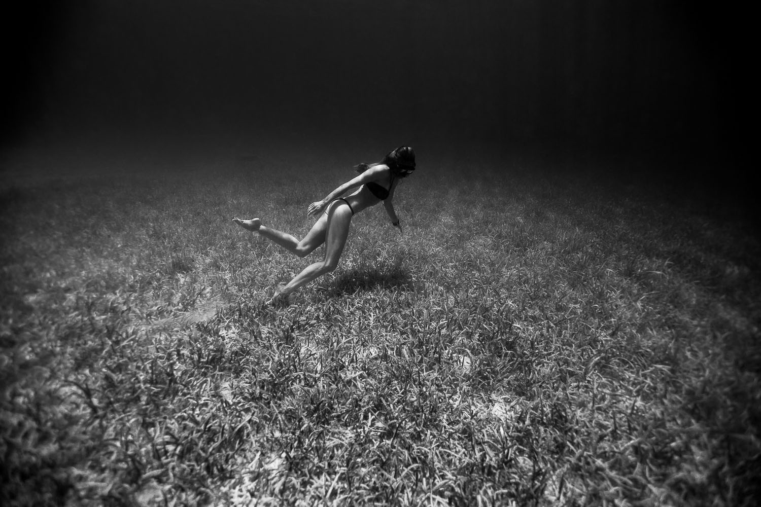 Freediving Photography