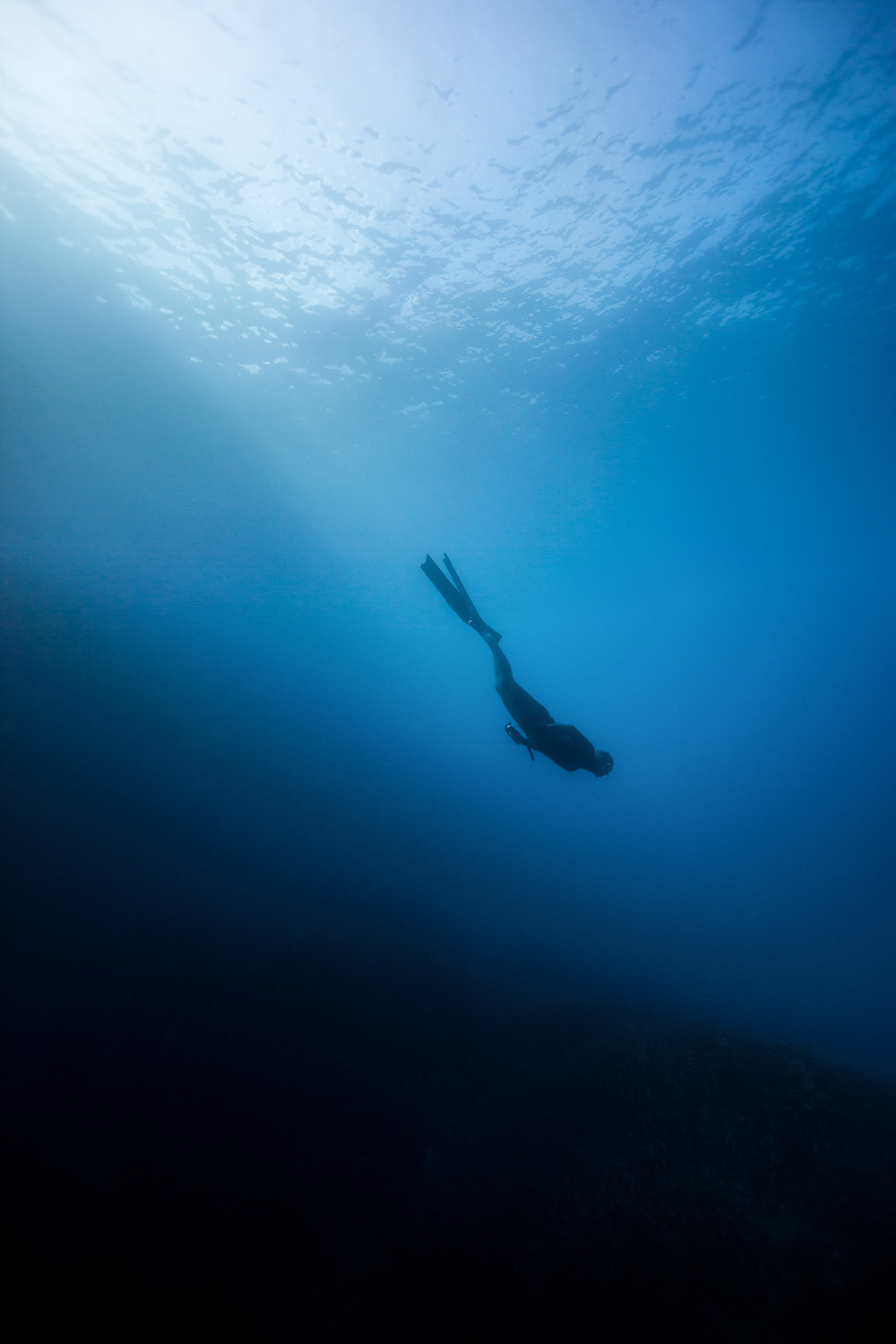 Freediving Photography