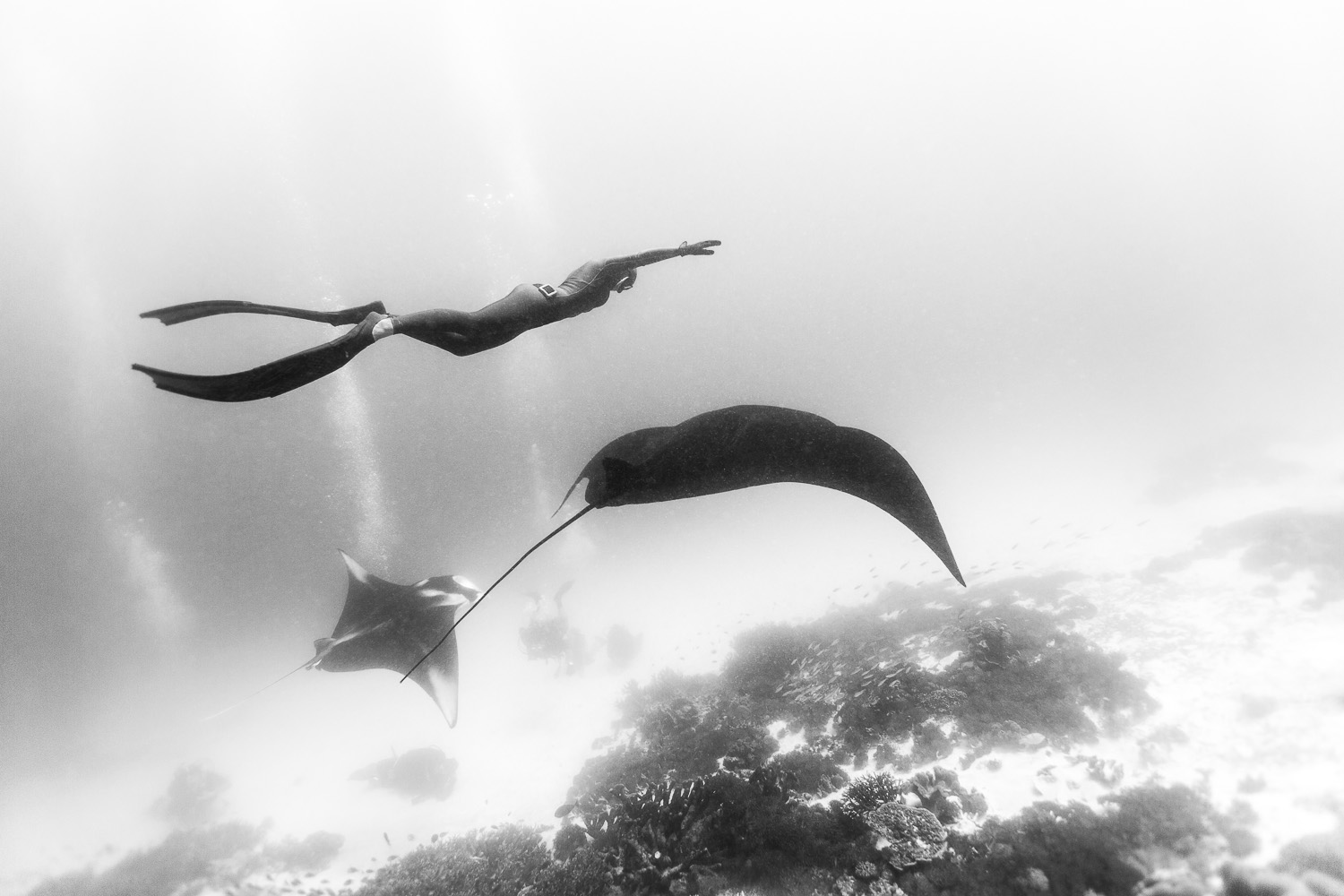 Freediving Photography