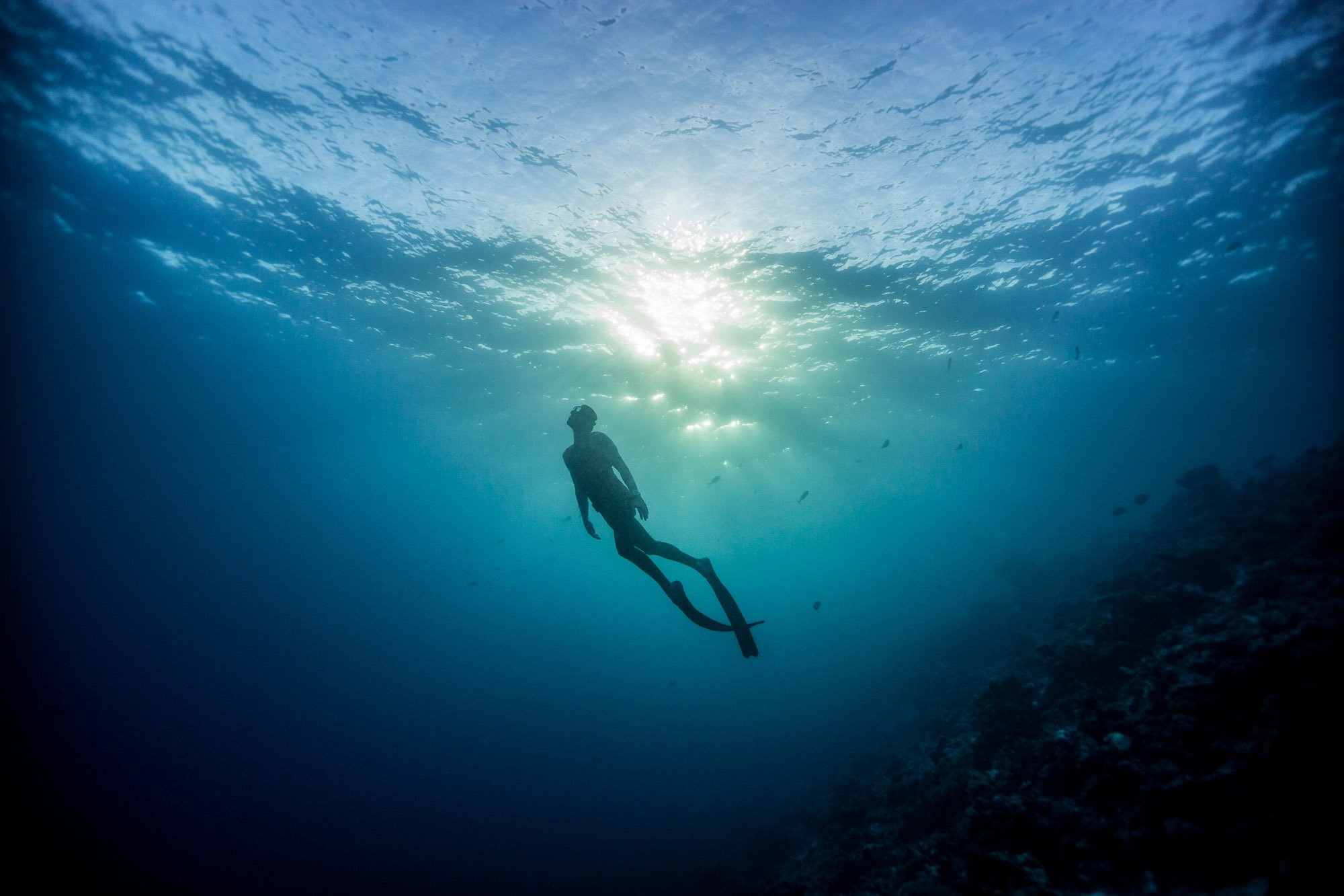 Freediving Photography