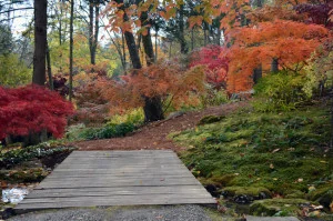 What To Do (Armonk, Bedford, and Chappaqua) Events October 2015