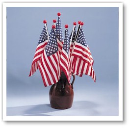 Saf-T-Ball US Flags
