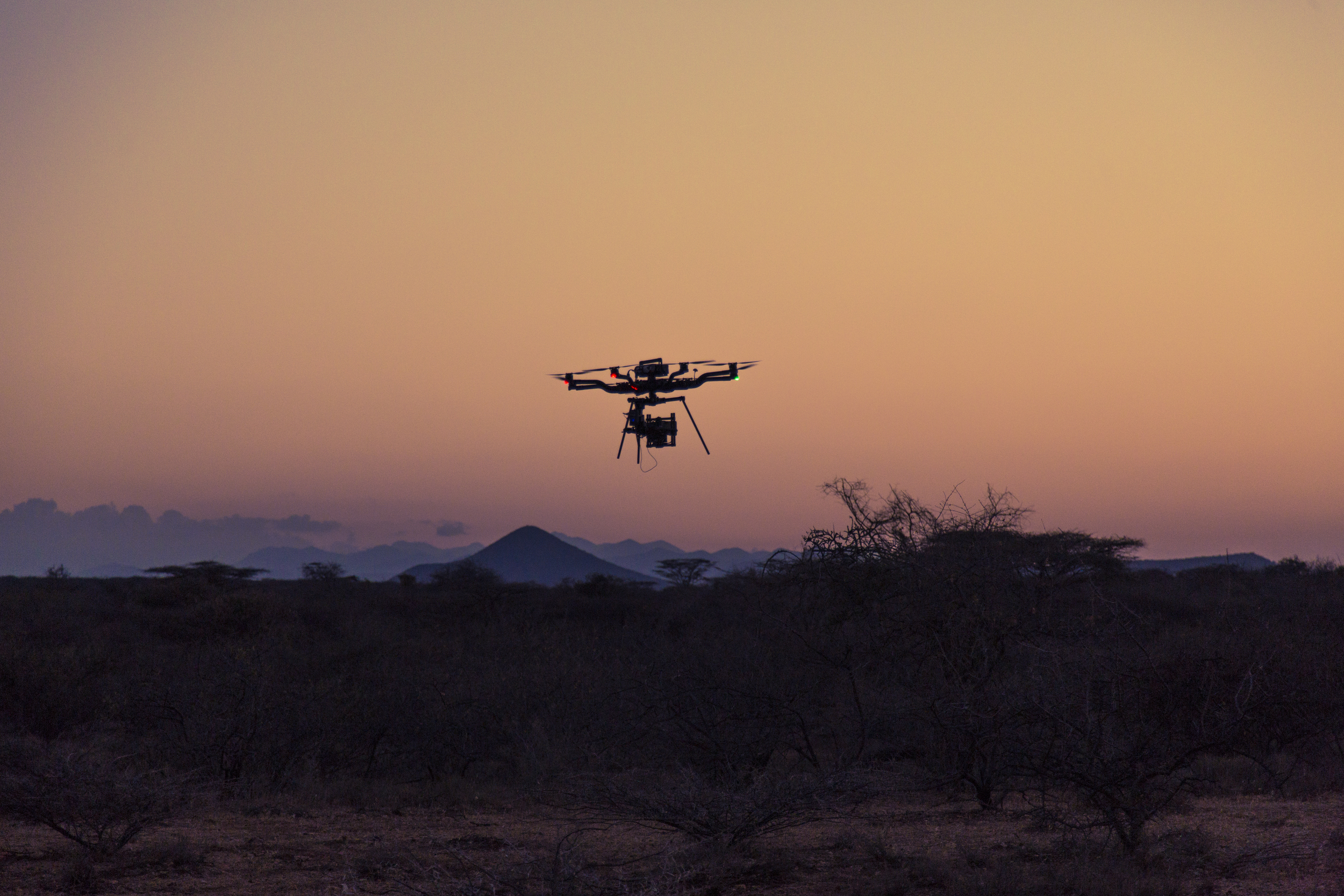 Freefly Snowbird - Kenya10.jpg