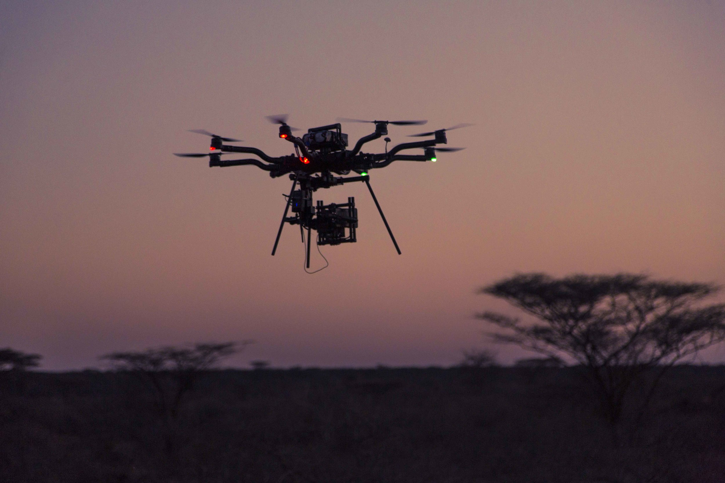 Freefly Snowbird - Kenya 02_lq.jpg