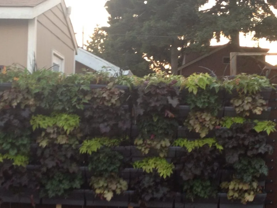 Project Gallery — Vertical Gardens Northwest, LLC