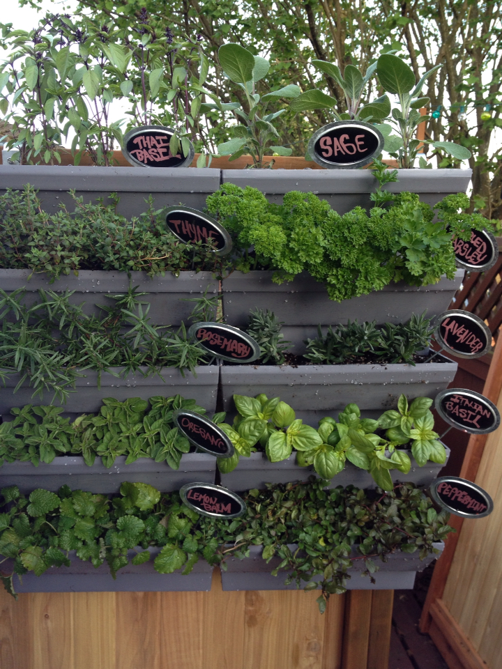 Herb Wall
