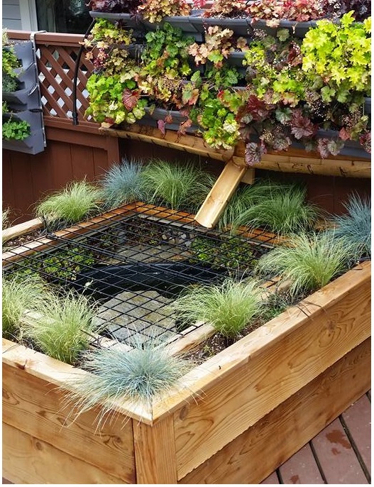 Turtle pond aquaponics test setup