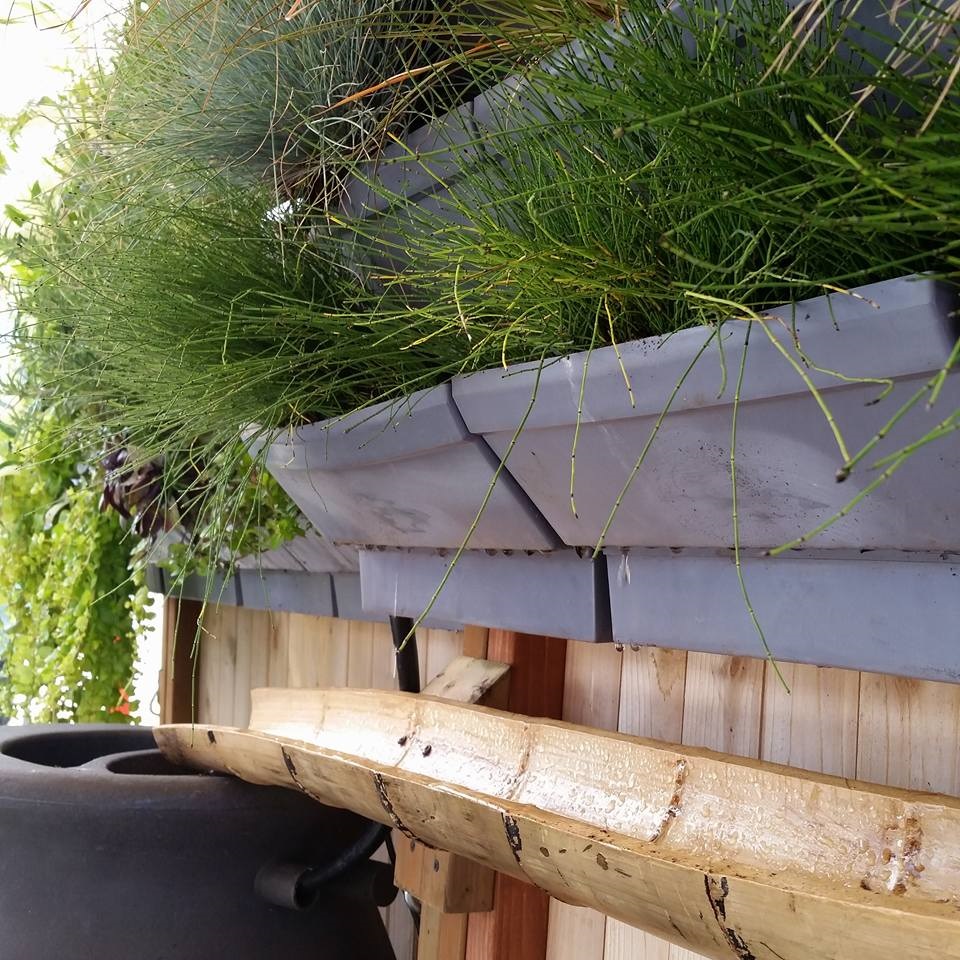 Aquaponics set up at Kla Ha Ya Days 2015