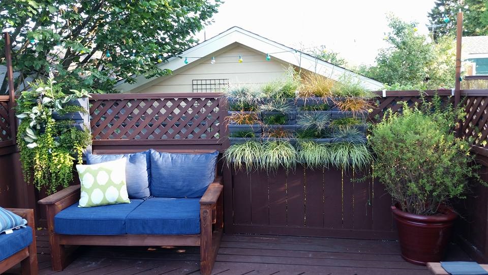 Living grass wall