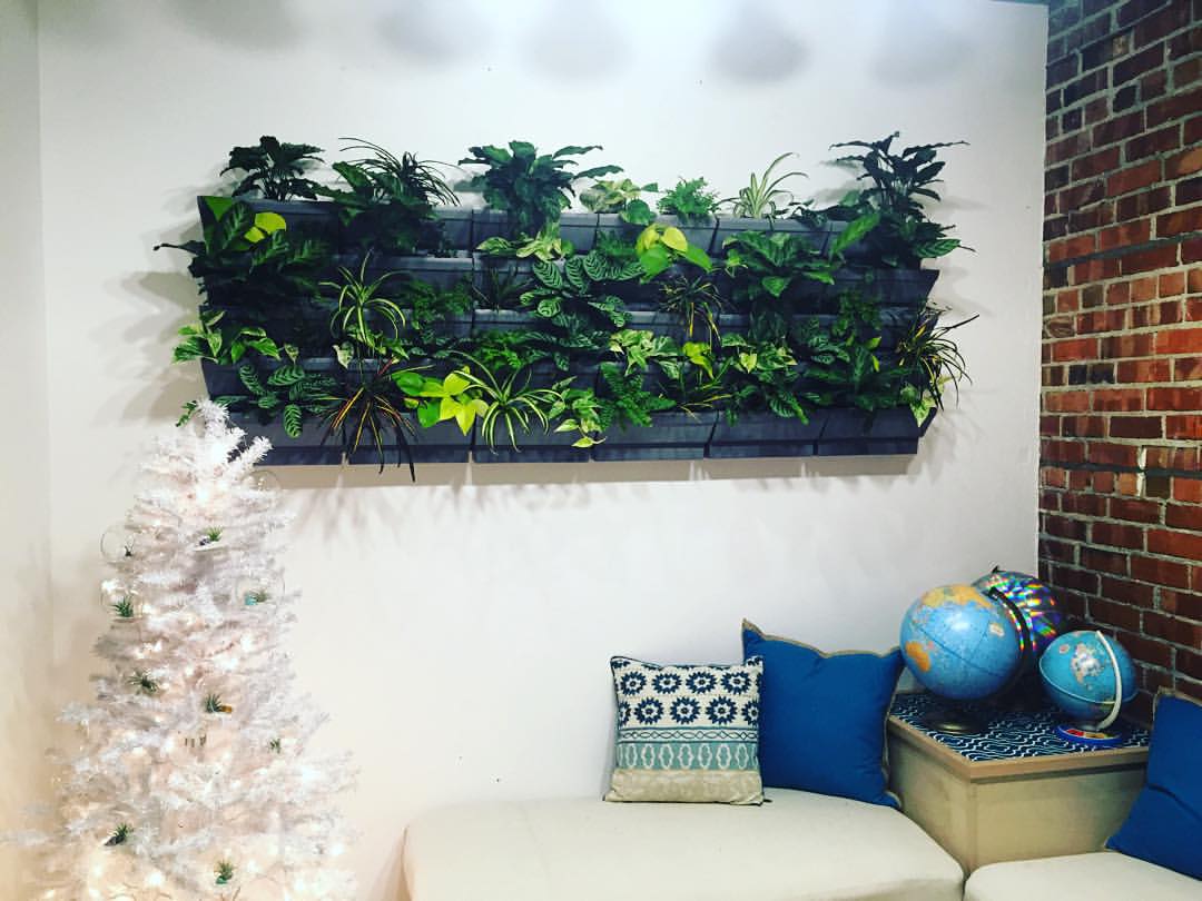 Indoor Office Wall