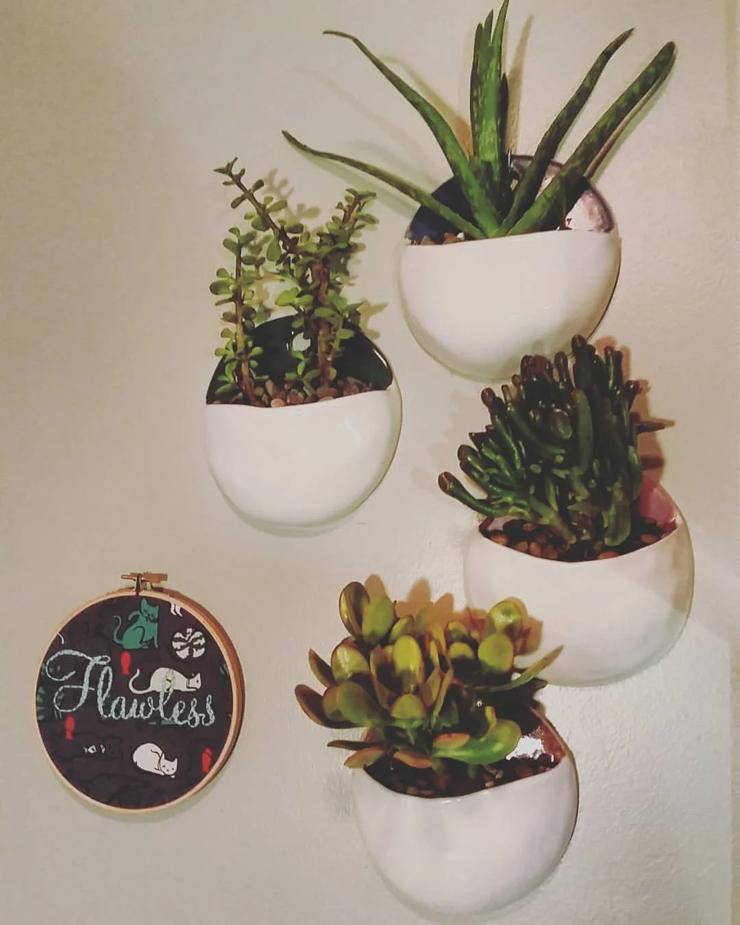 Wall Pockets Planted With Succulents