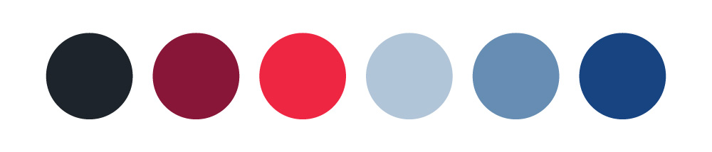 Color chip