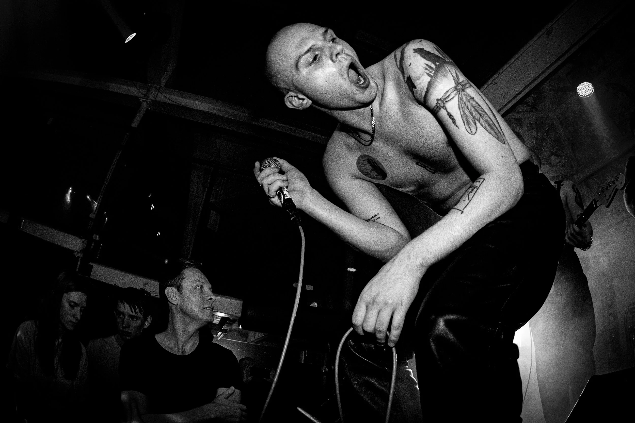 Crowd and singer emotion as captured by trust a fox