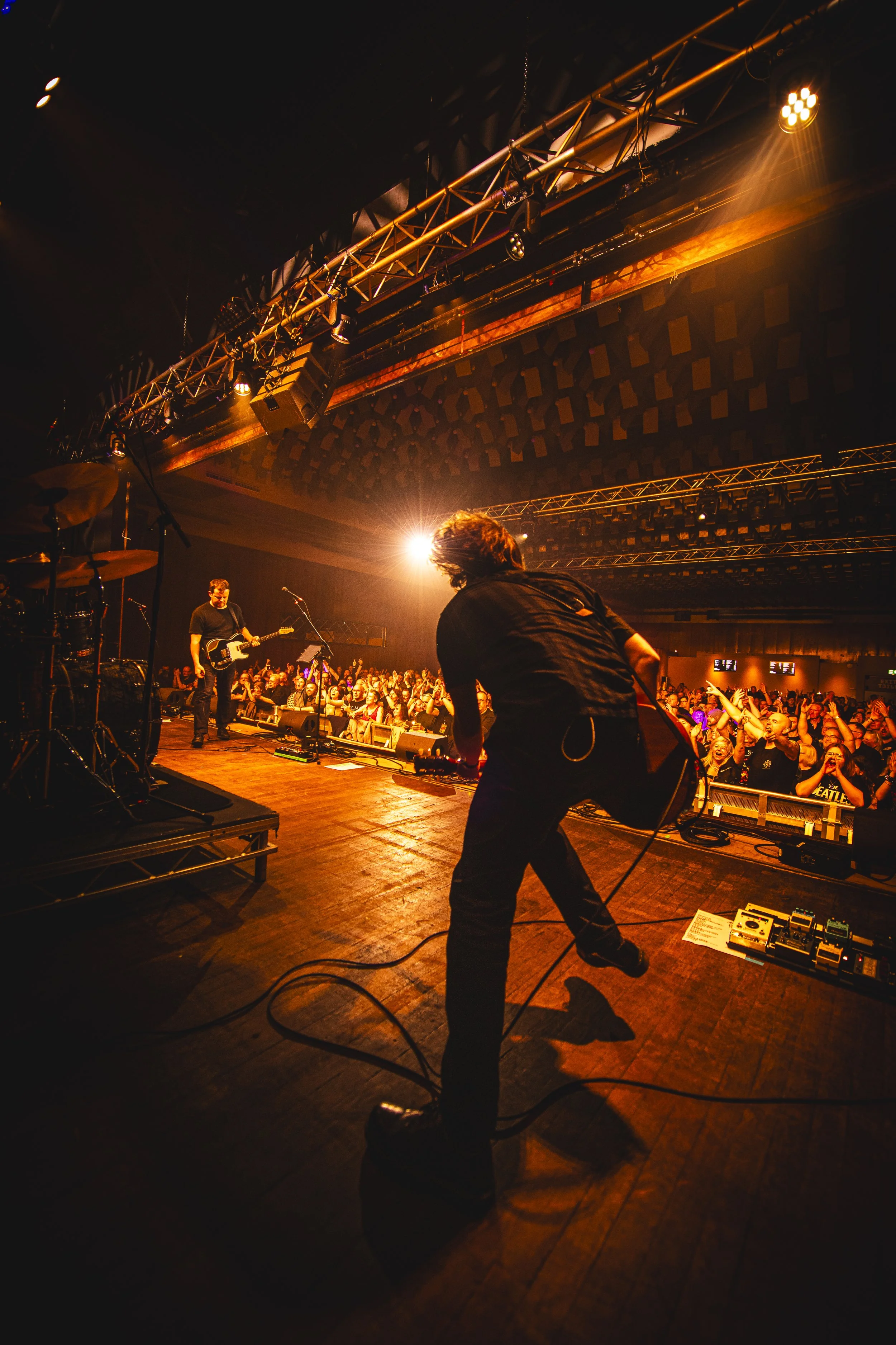End of tour show Manchester, trust a fox