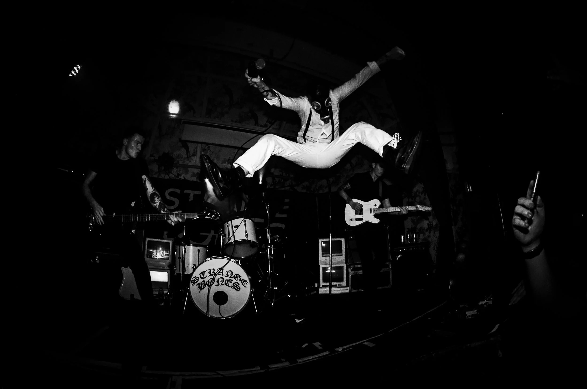 More than just a band on a stage image, trust a fox
