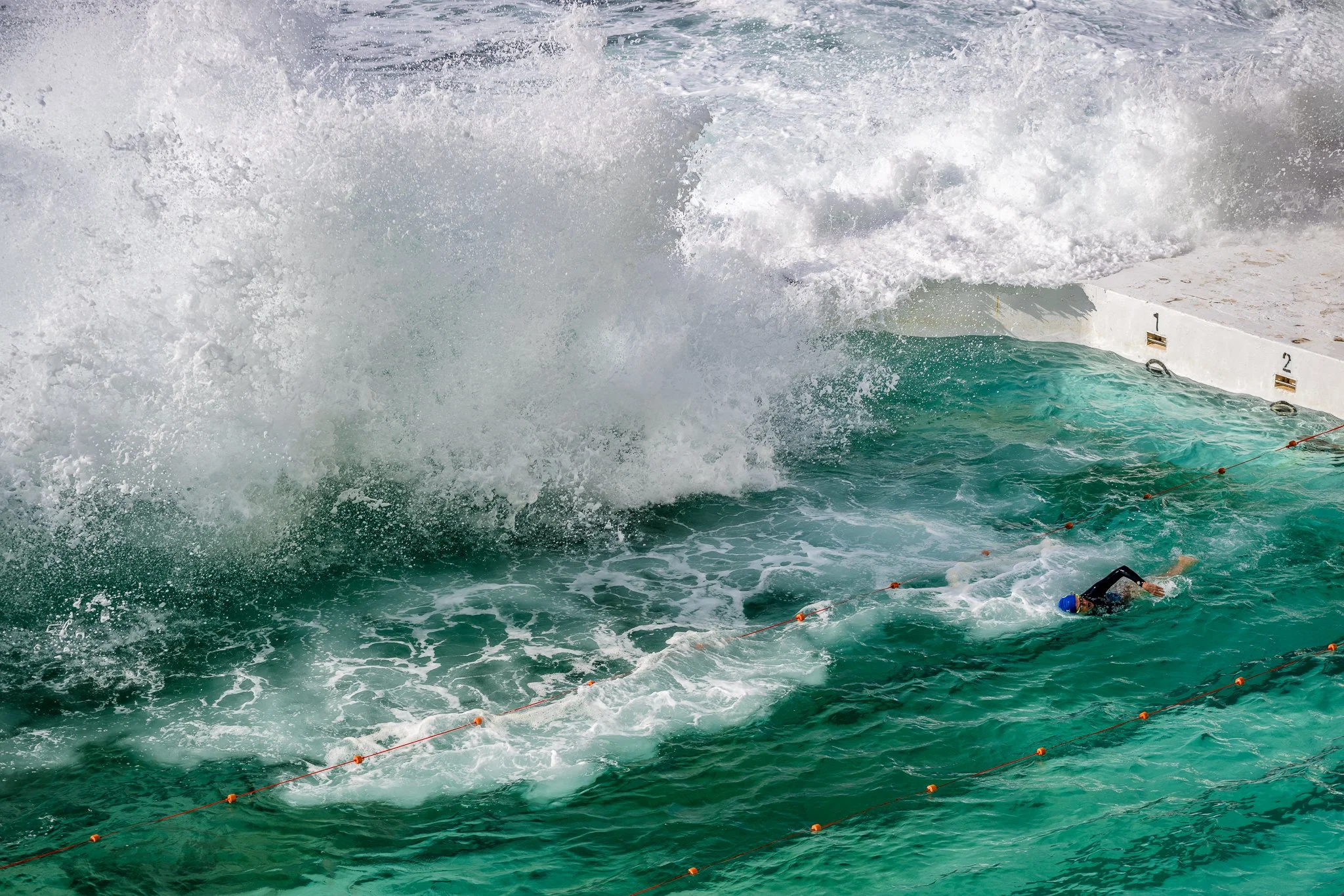 Swimmer at Bondi