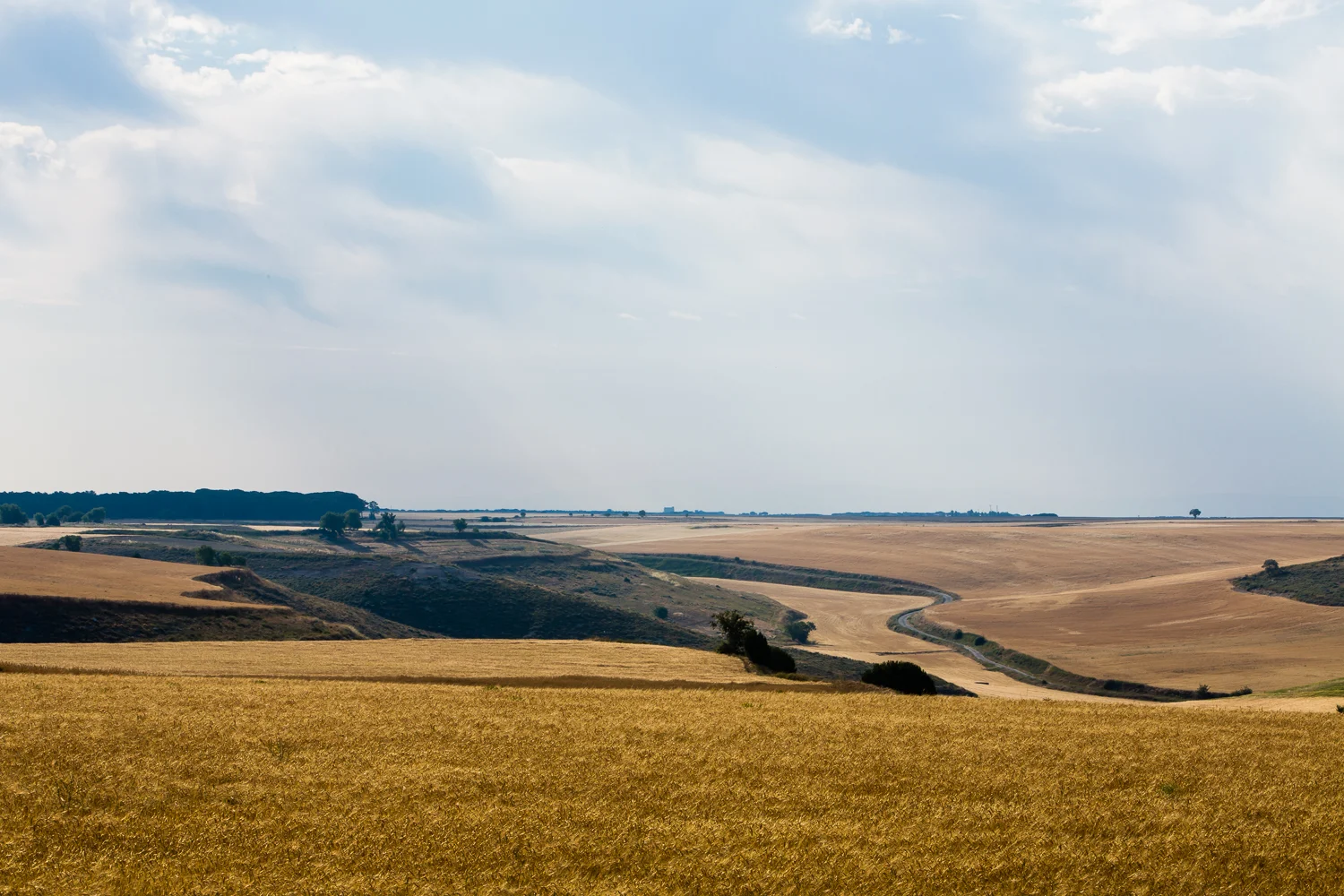 20130713_lita_5513.jpg