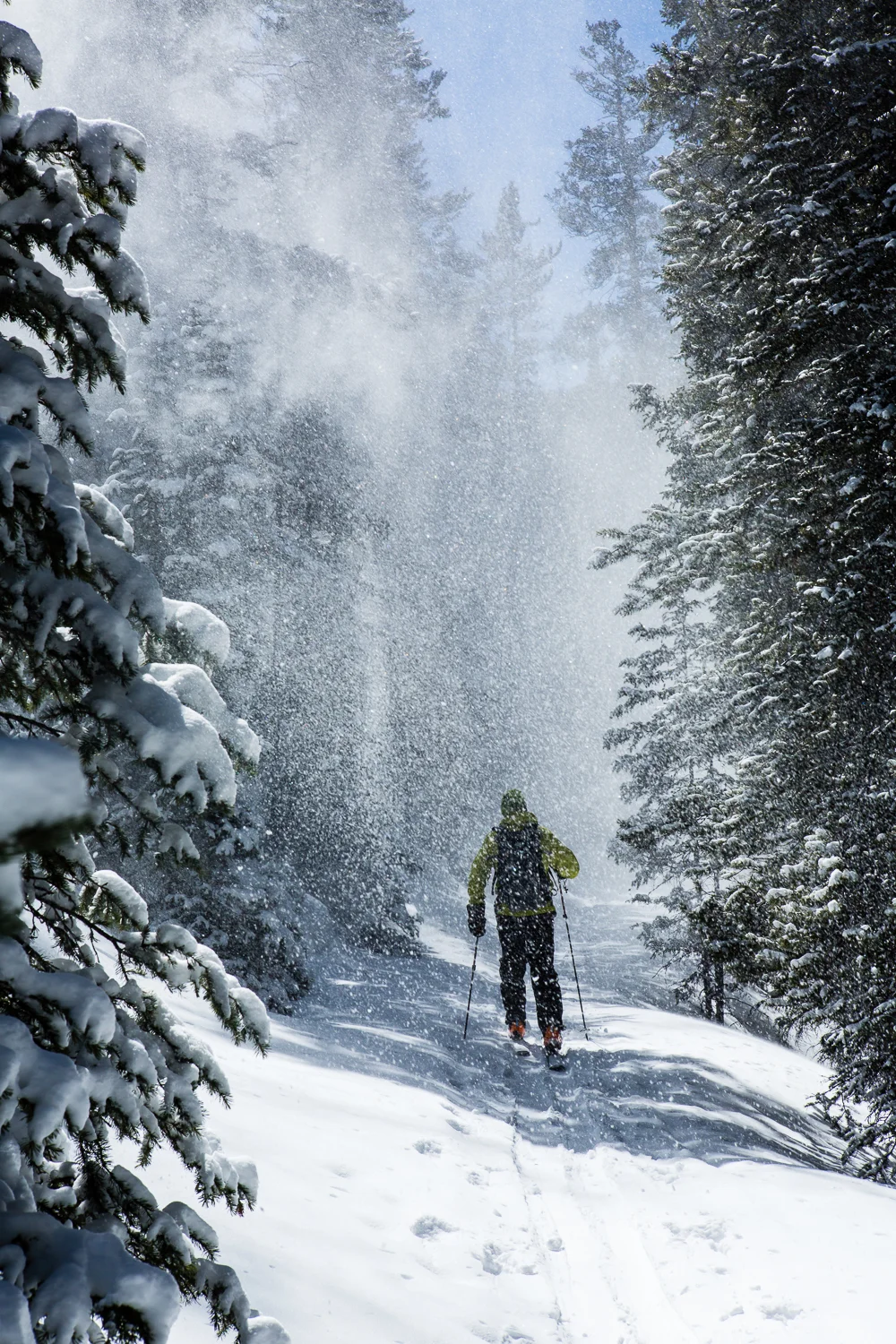 Skin track on a historic road, Colorado