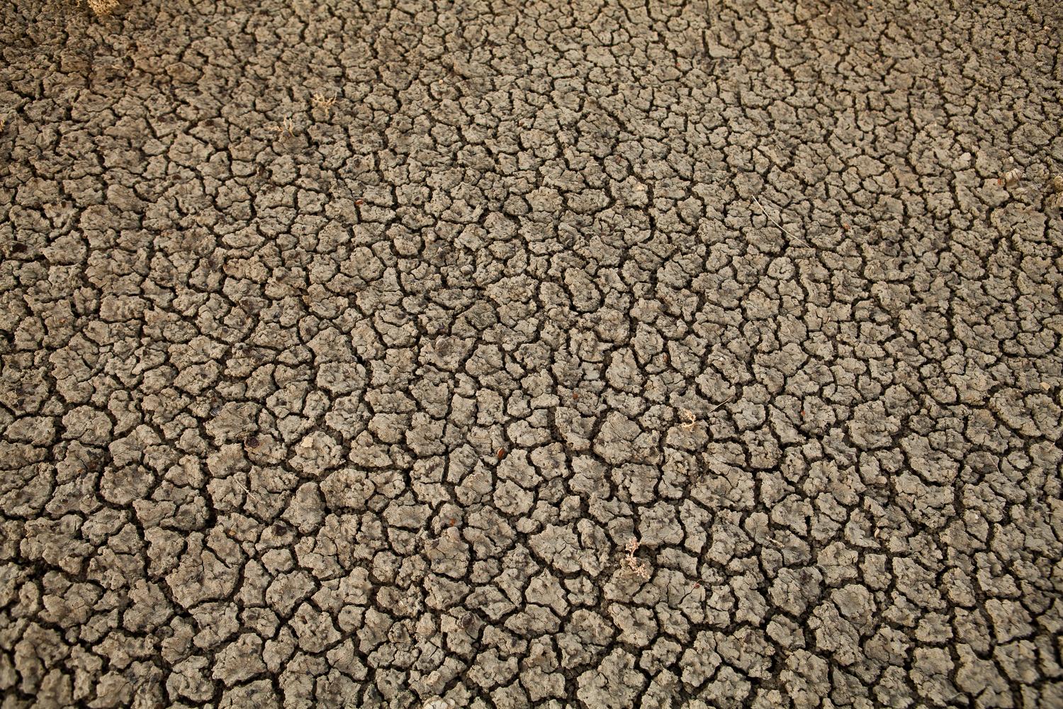 20111001_cdr_576.jpg
