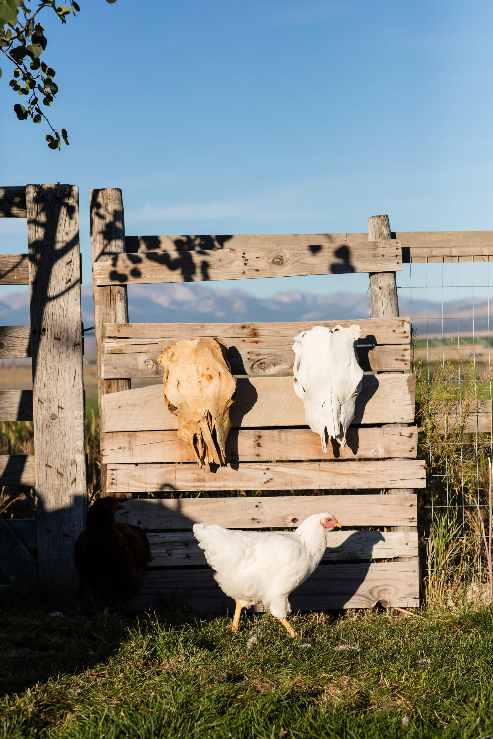 Montana Ranch for Popular Mechanics