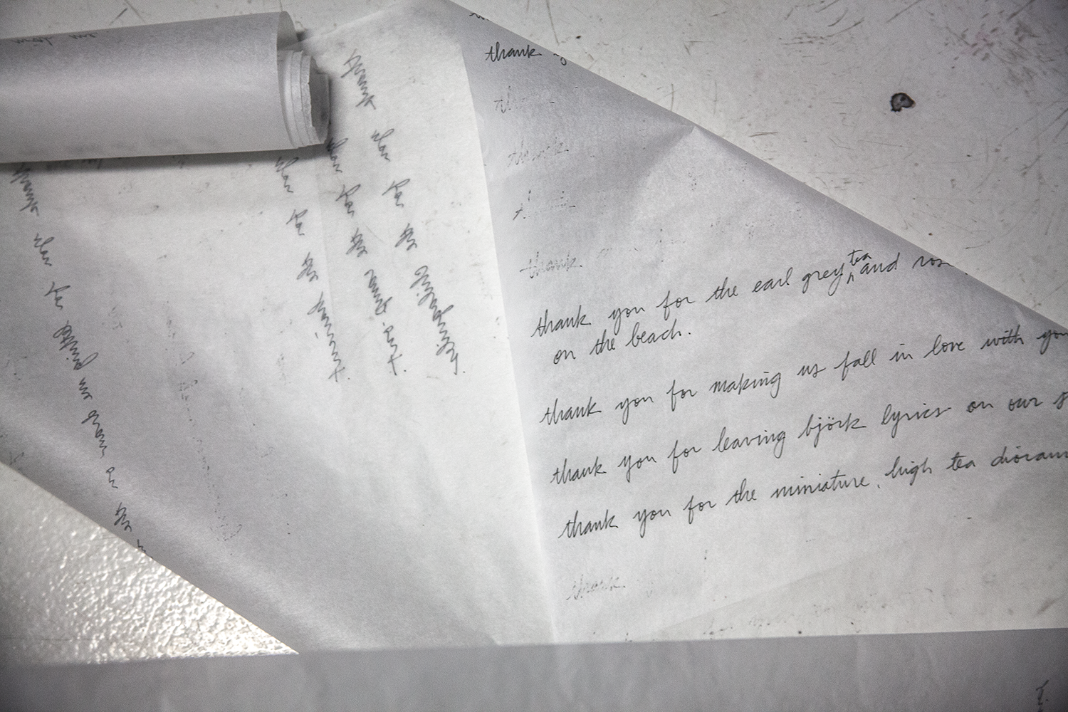 commitment to: gratitude, detail, time body space objects 3, Defibrillator, Chicago, IL 2013 | Photo: Vela Phelan