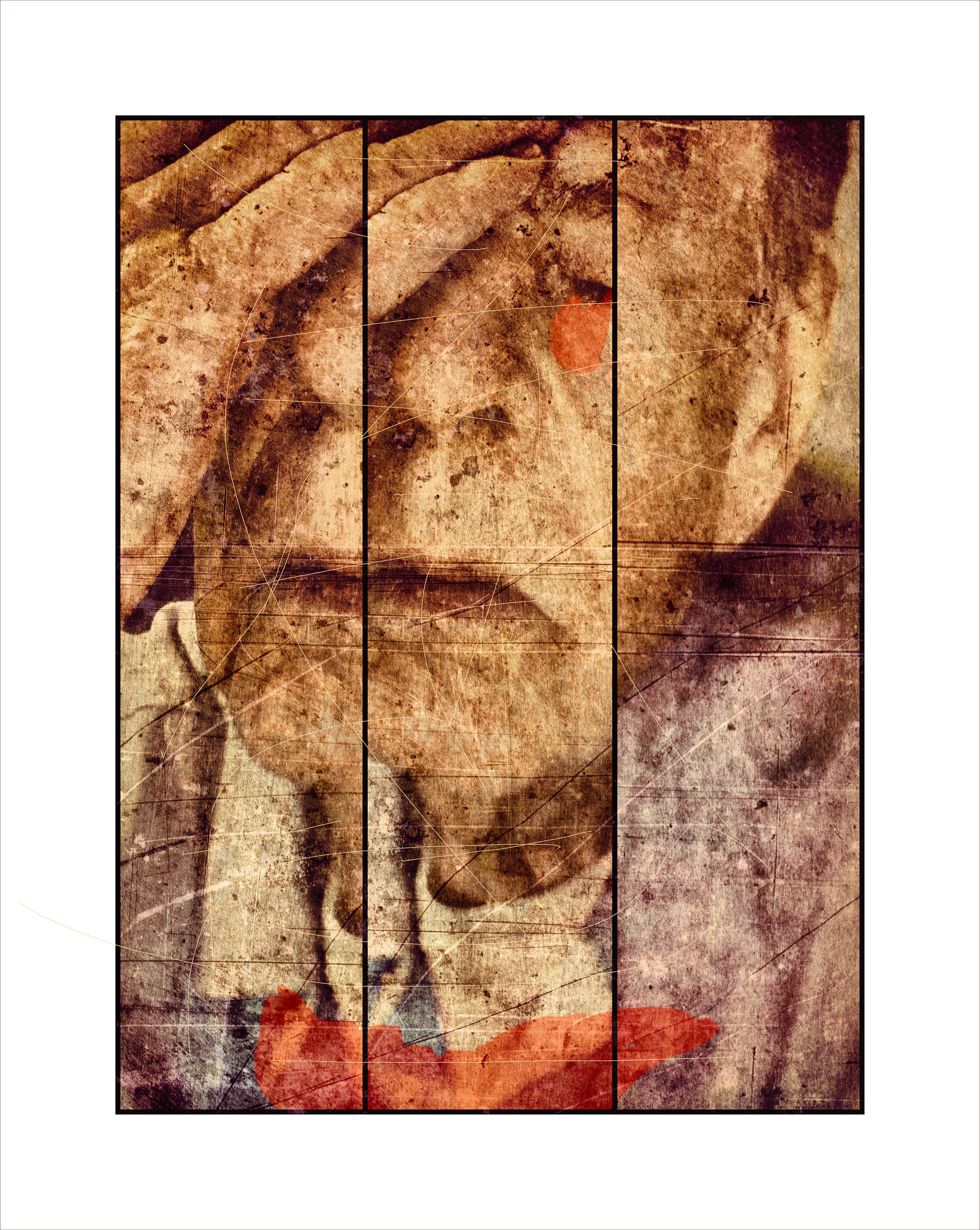 Torn