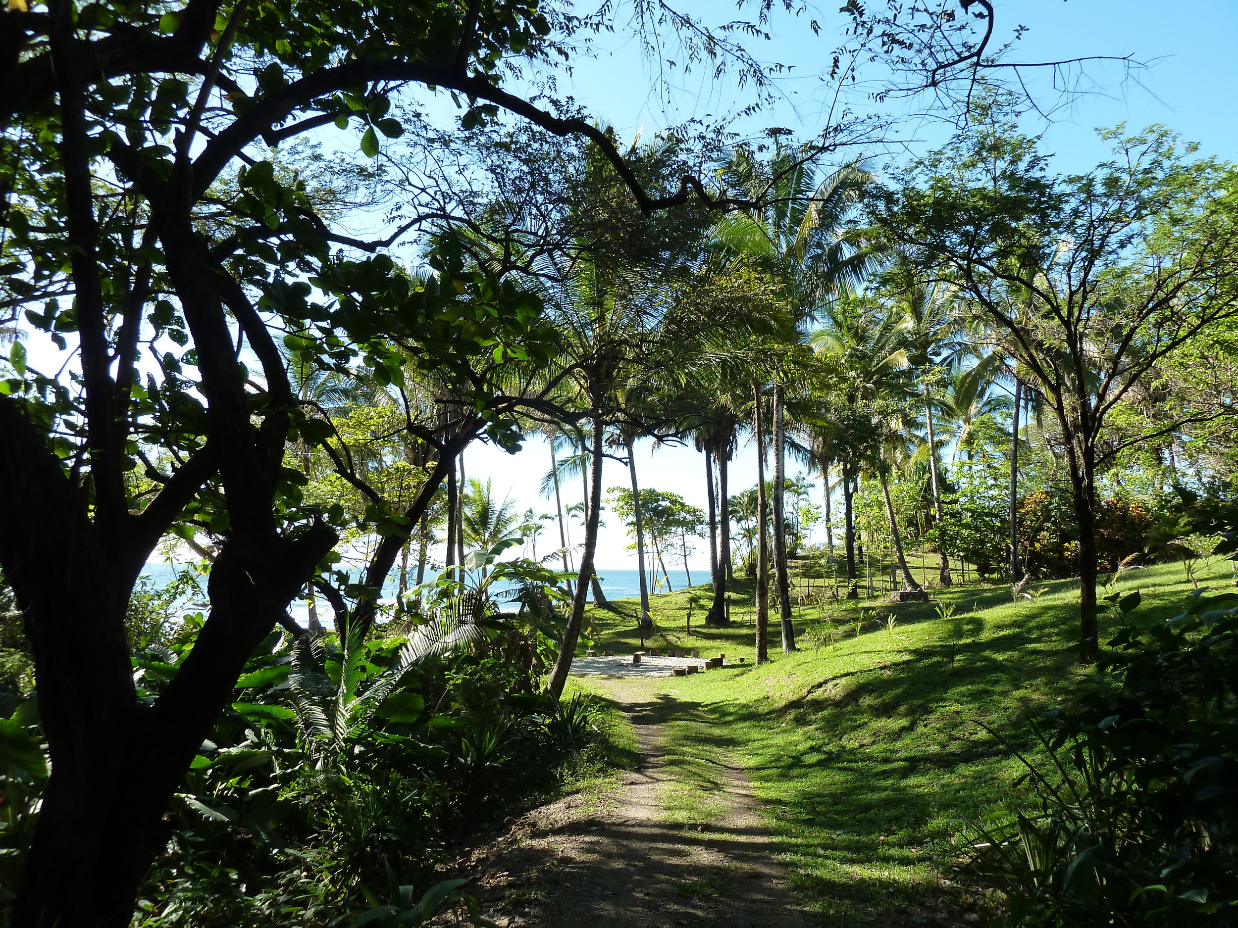 walk to beach.jpg
