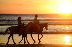 Horsebackriding_on_the_Pacific.webp
