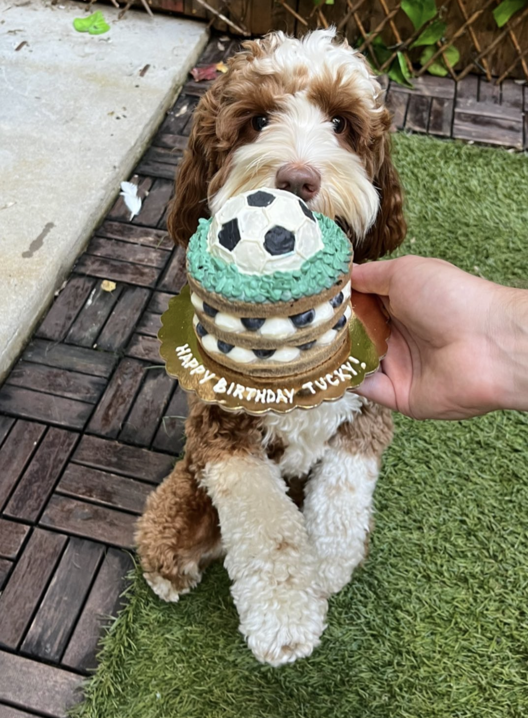 soccer ball naked cake.PNG