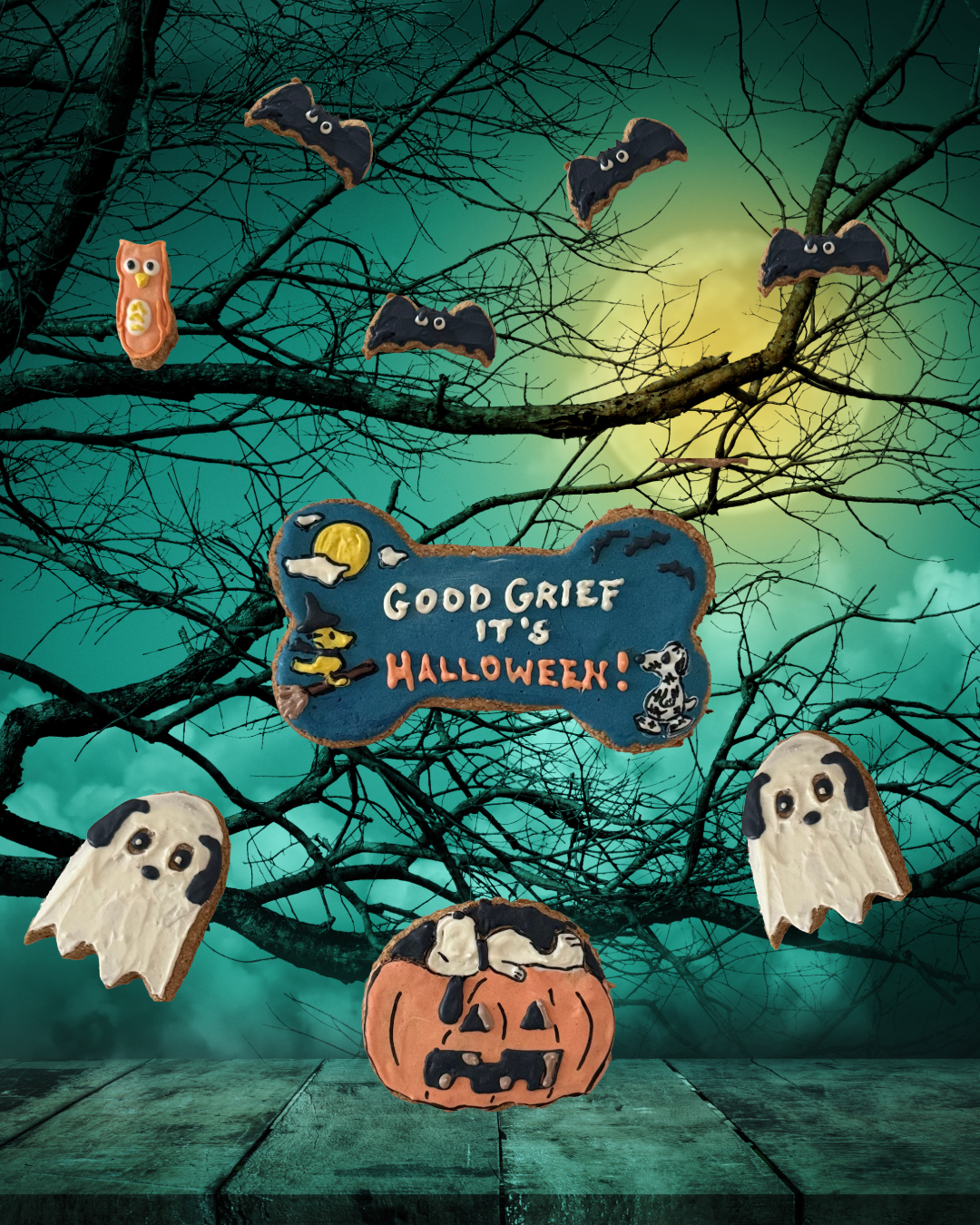 Untitled - September 23, 2026 at 09.20.57.png