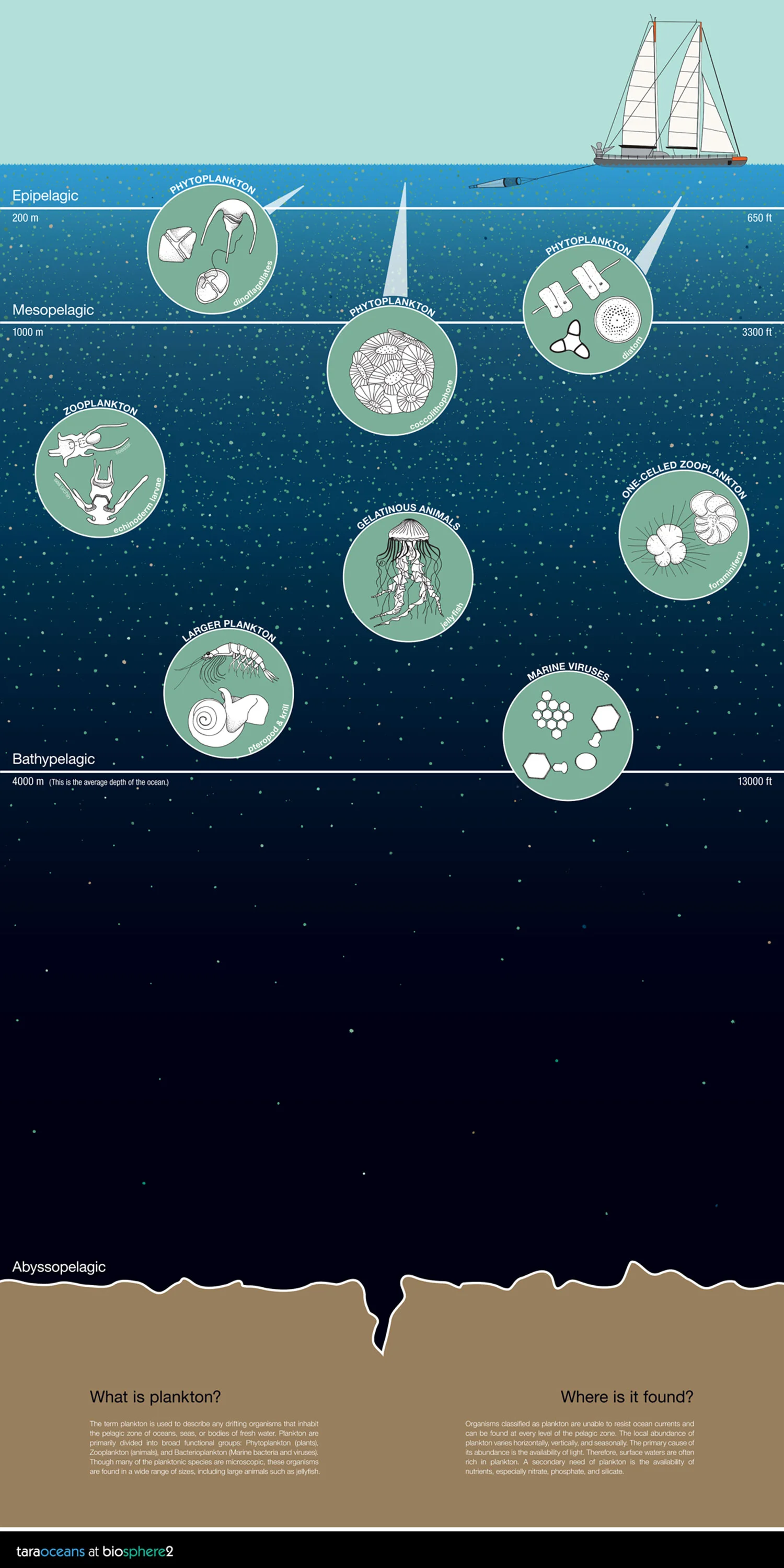 TARA Oceans