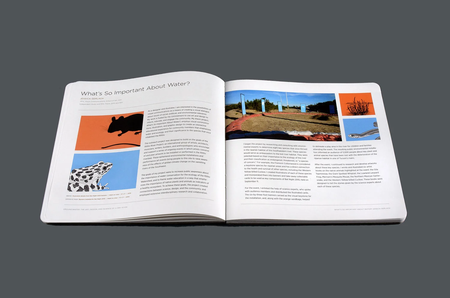 Graphic Design by Jessica Gerlach. http://www.uapress.arizona.edu/Books/bid2407.htm