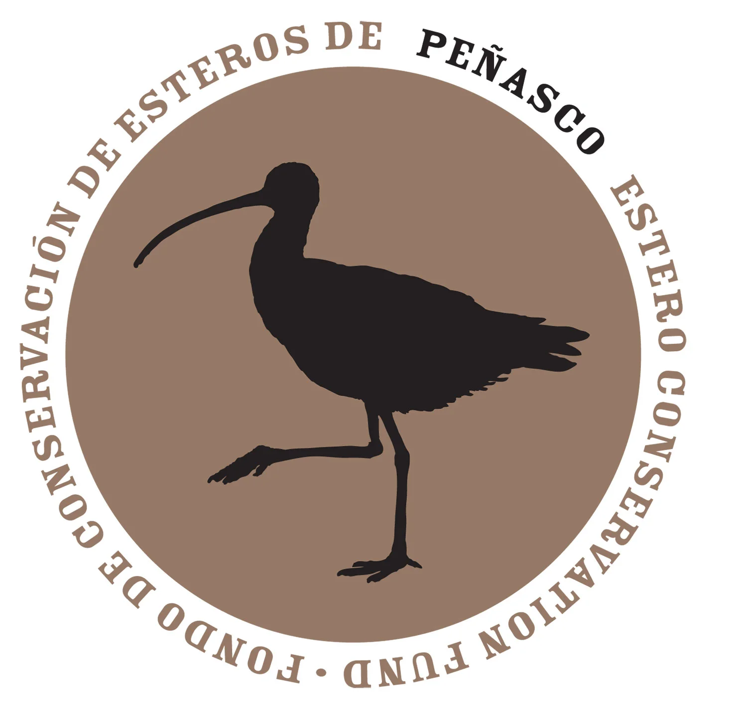 CEDO Intercultural