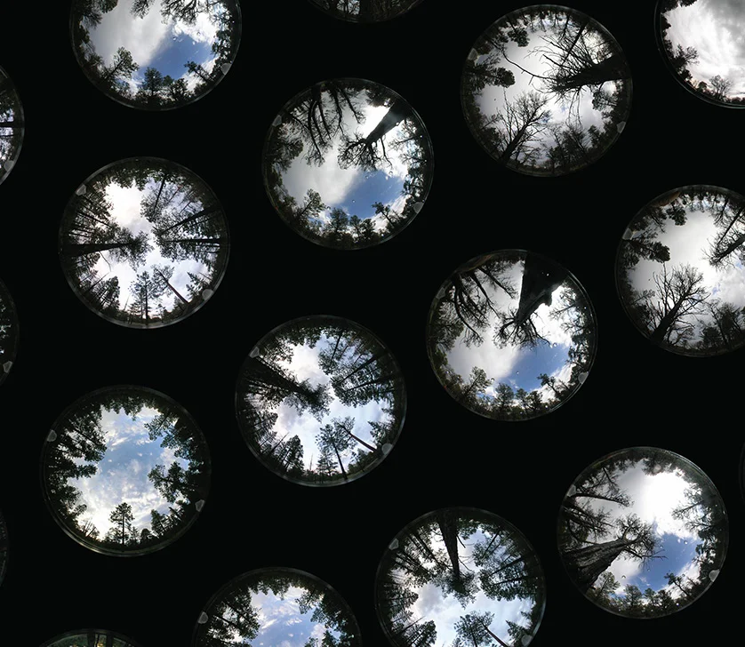 Change Over Time (detail)