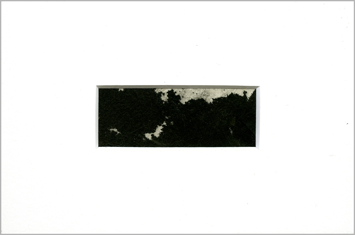 DP01-web-border.jpg