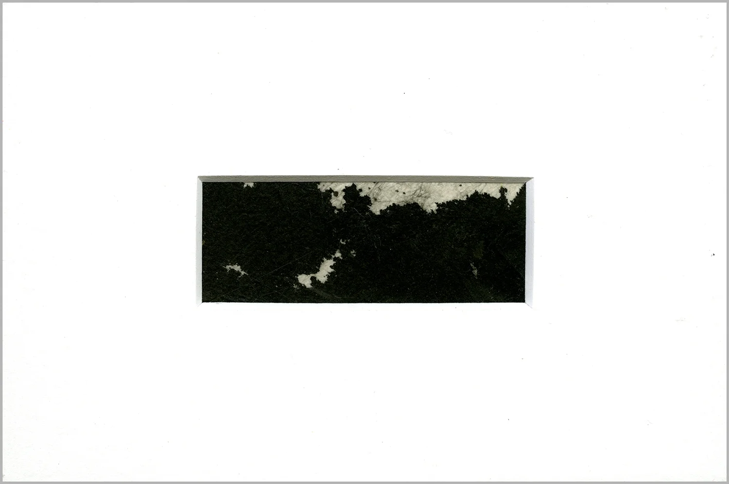 DP01-web-border.jpg
