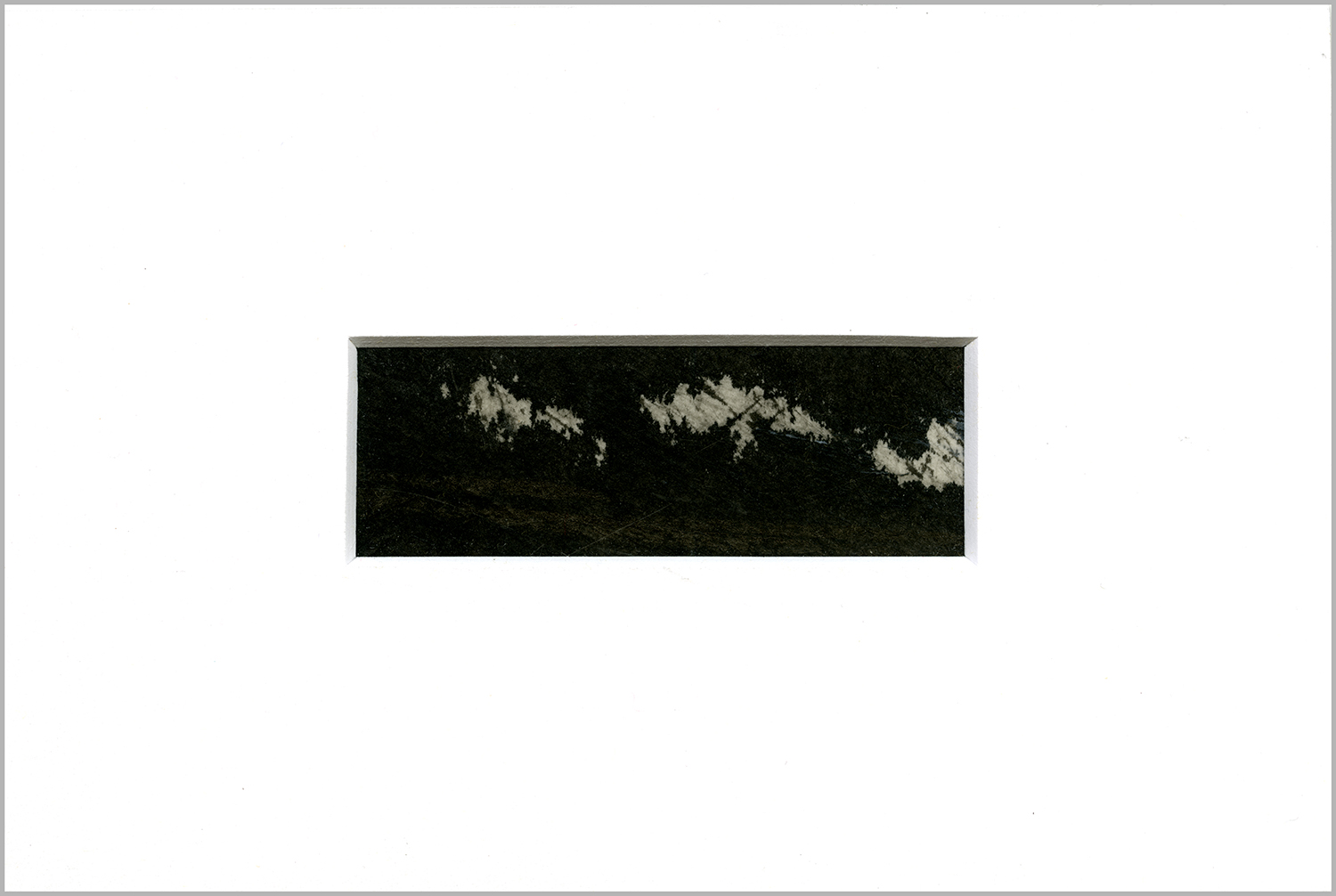 DP04-web-border.jpg