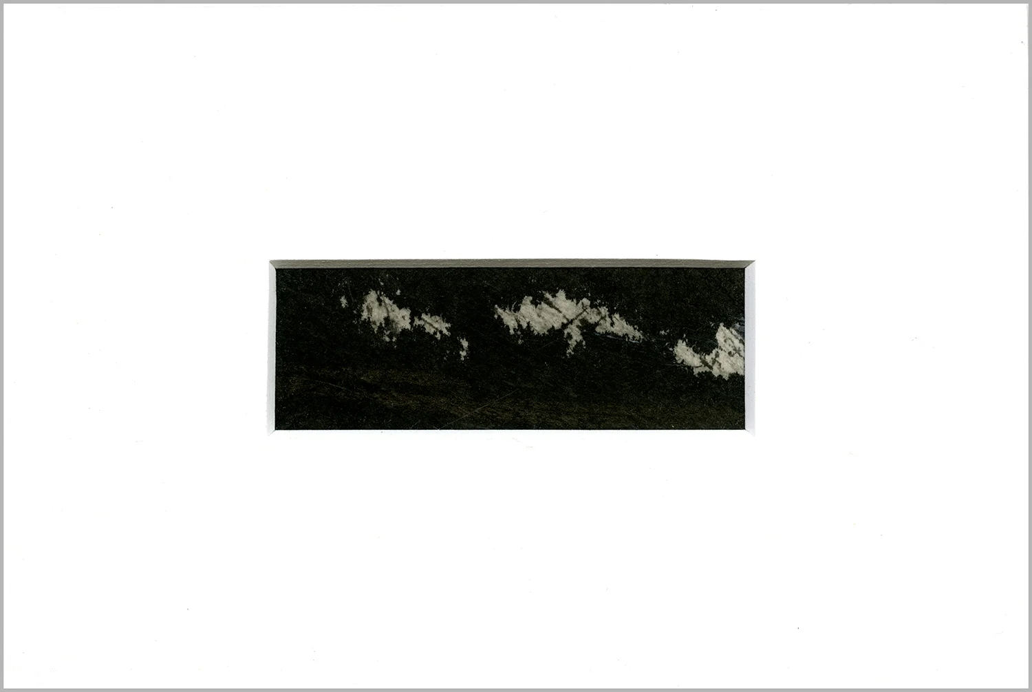 DP04-web-border.jpg