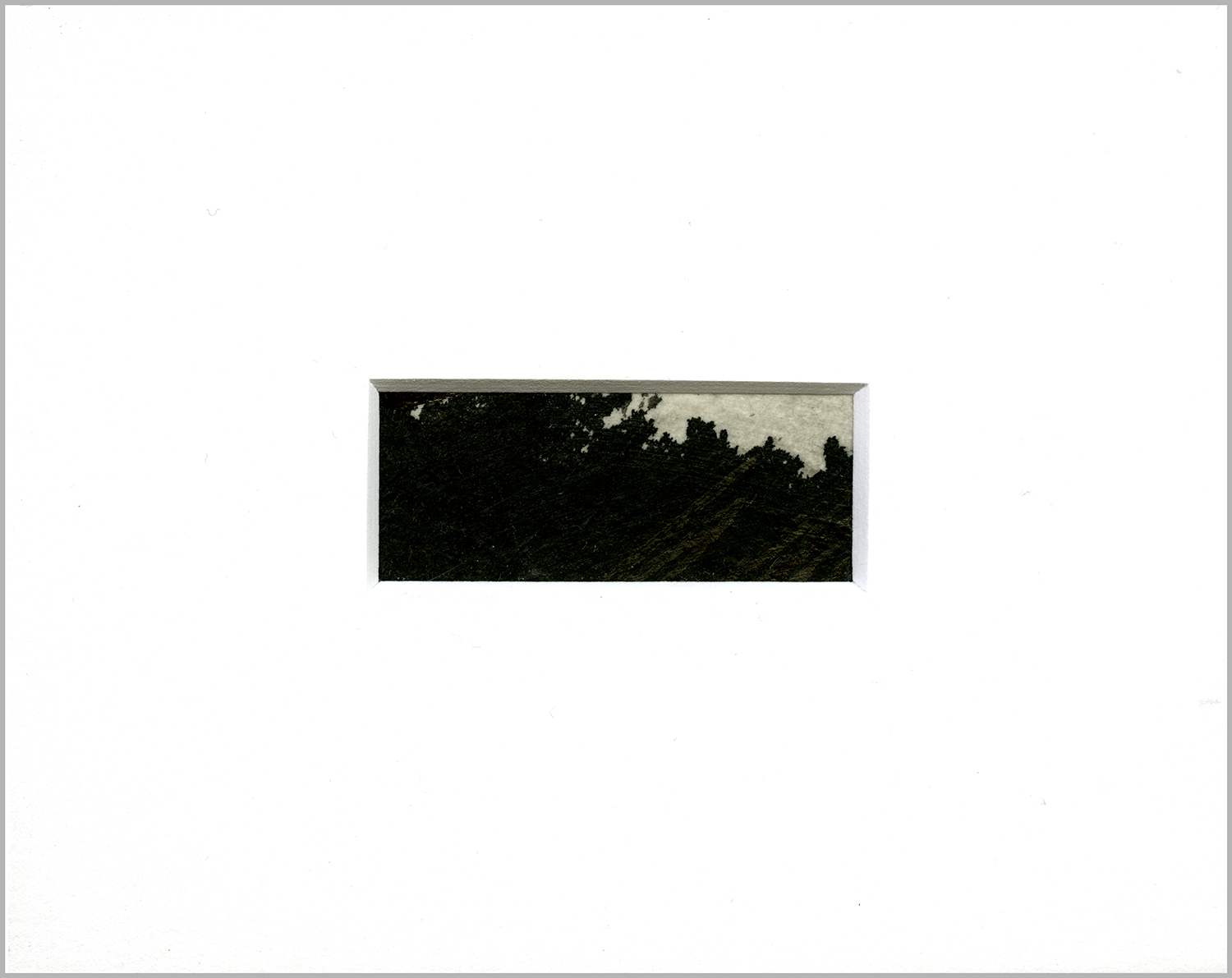 DP05-web-border.jpg
